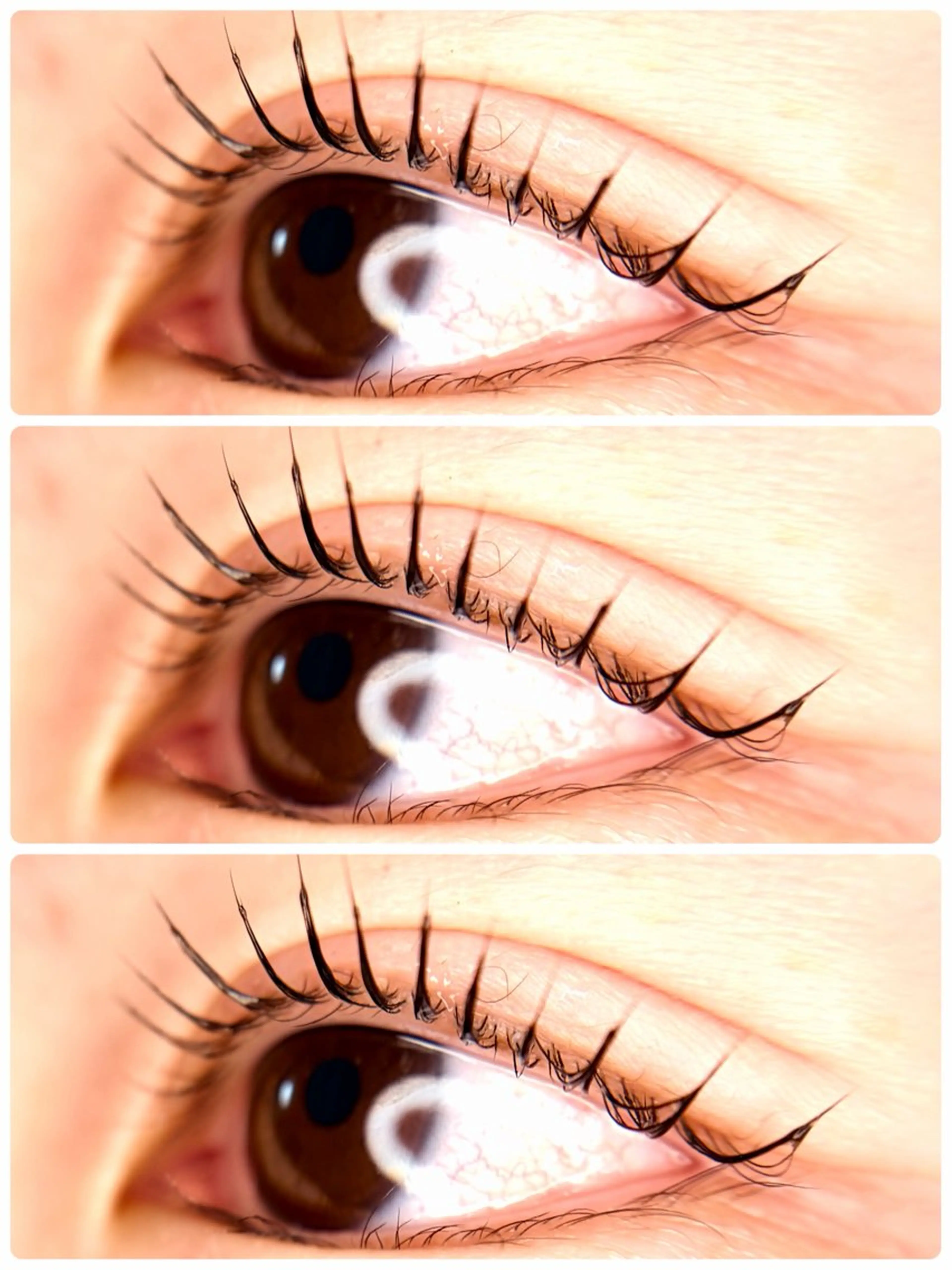 マツエク・マツパ パリジェンヌラッシュリフト Lash Lift ＷAＶＥ所属・Lash Lift WAVE🩵の眉毛・アイブロウイメージ