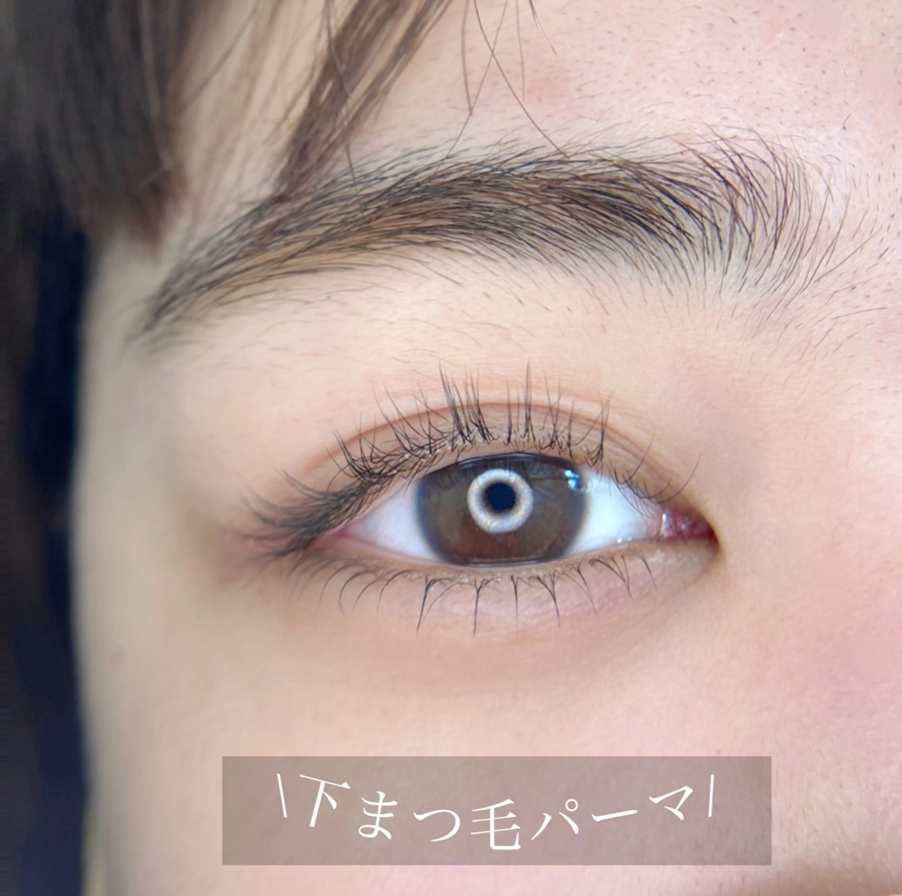 マツエク・マツパ 下まつげエクステ 一重×まつ毛パーマ マツパ Doors 佐藤のマツエク・マツパデザイン