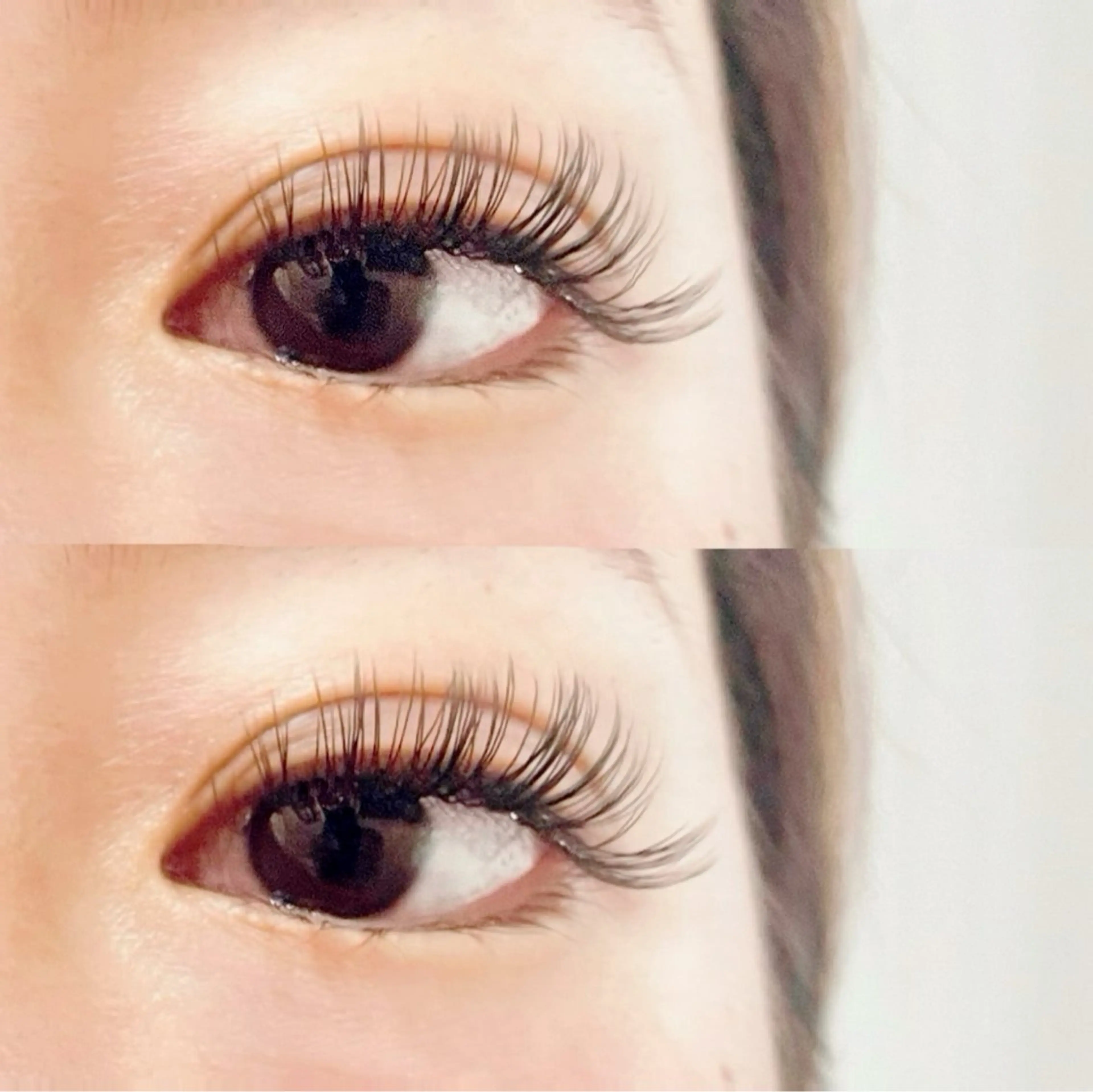 マツエク・マツパ Cカール Dカール フラットラッシュ マツエク ながい れいこのマツエク・マツパデザイン