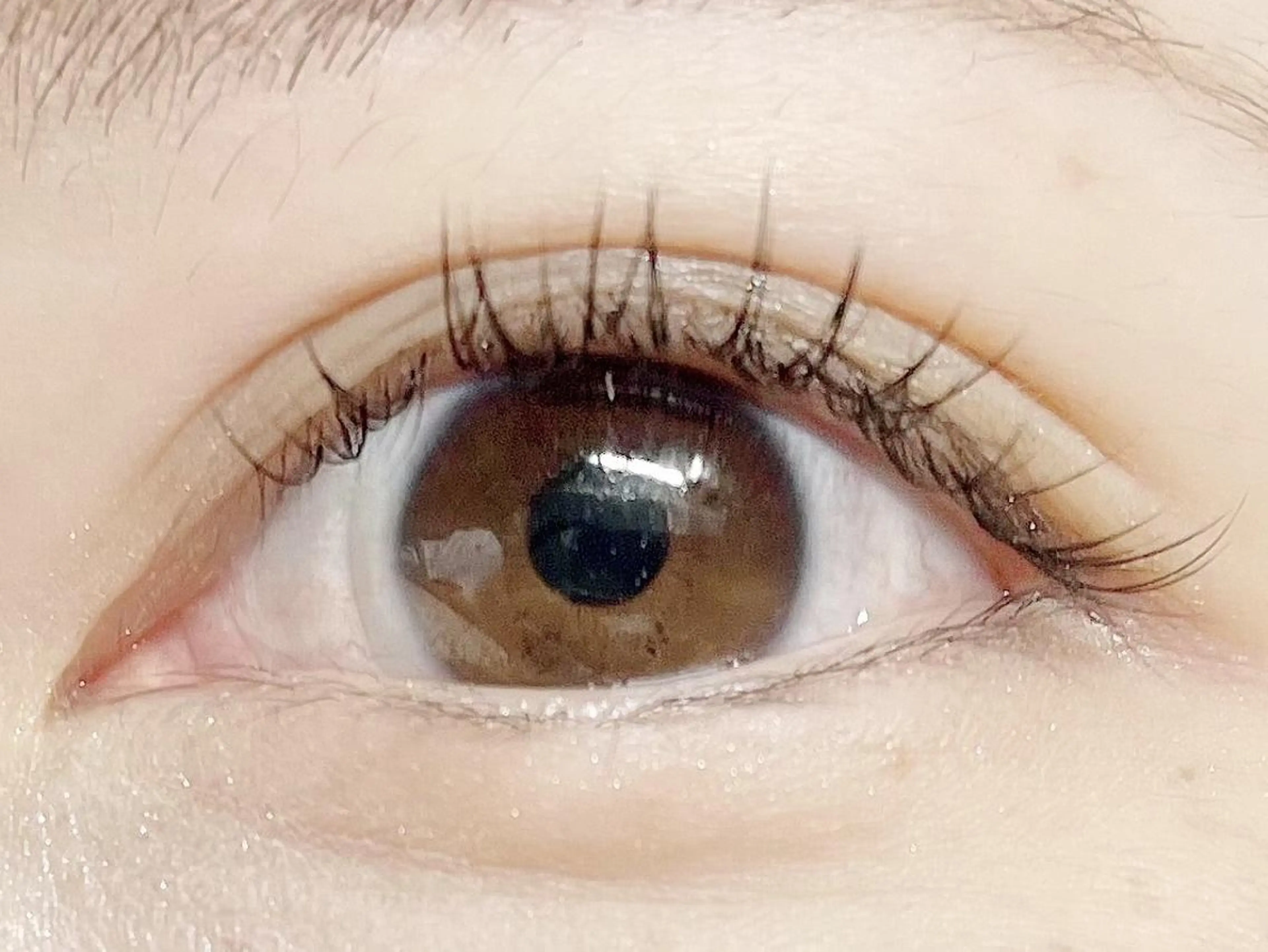 フラットラッシュ120本 オフ込みの写真