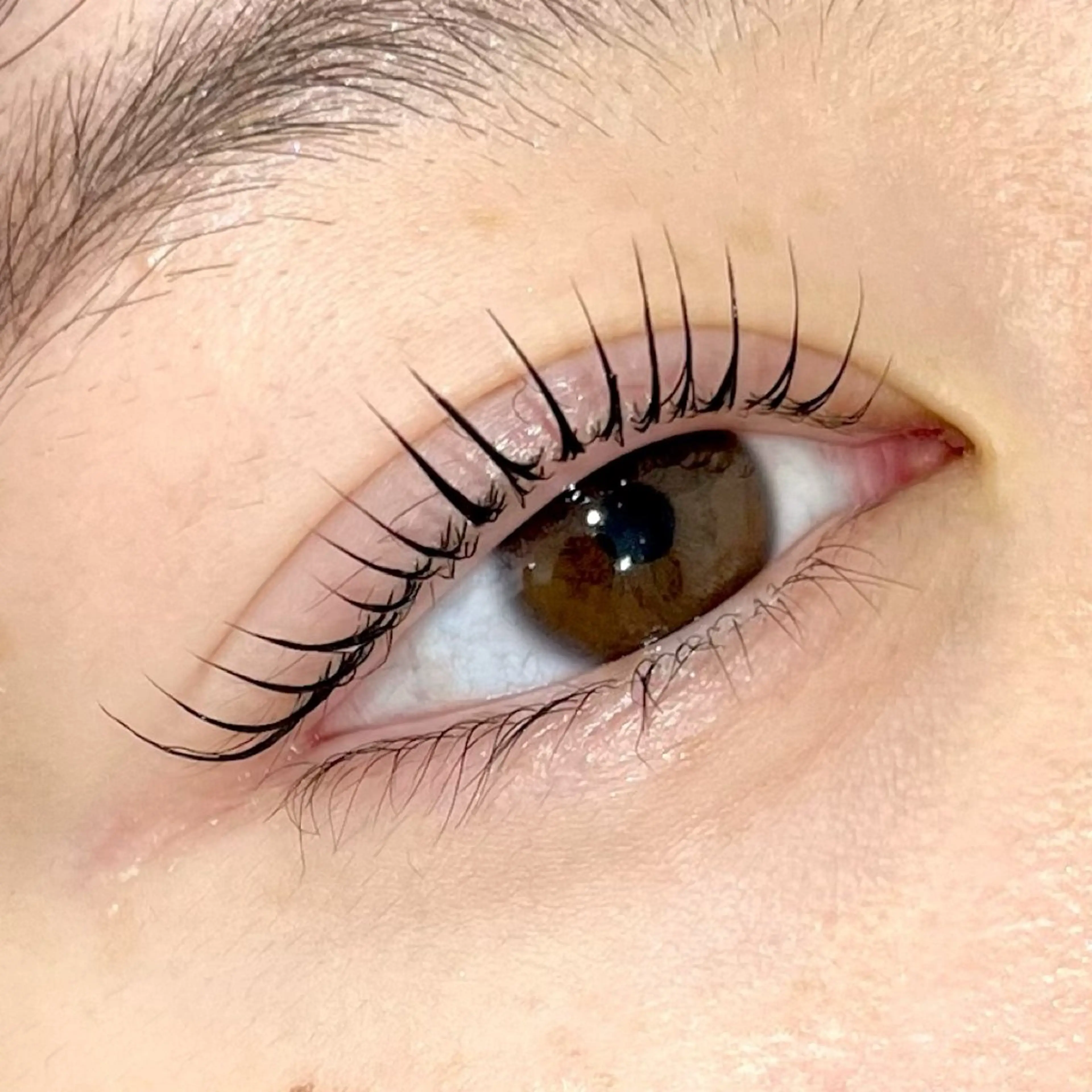 🍒メーテルラッシュリフト🍒の写真