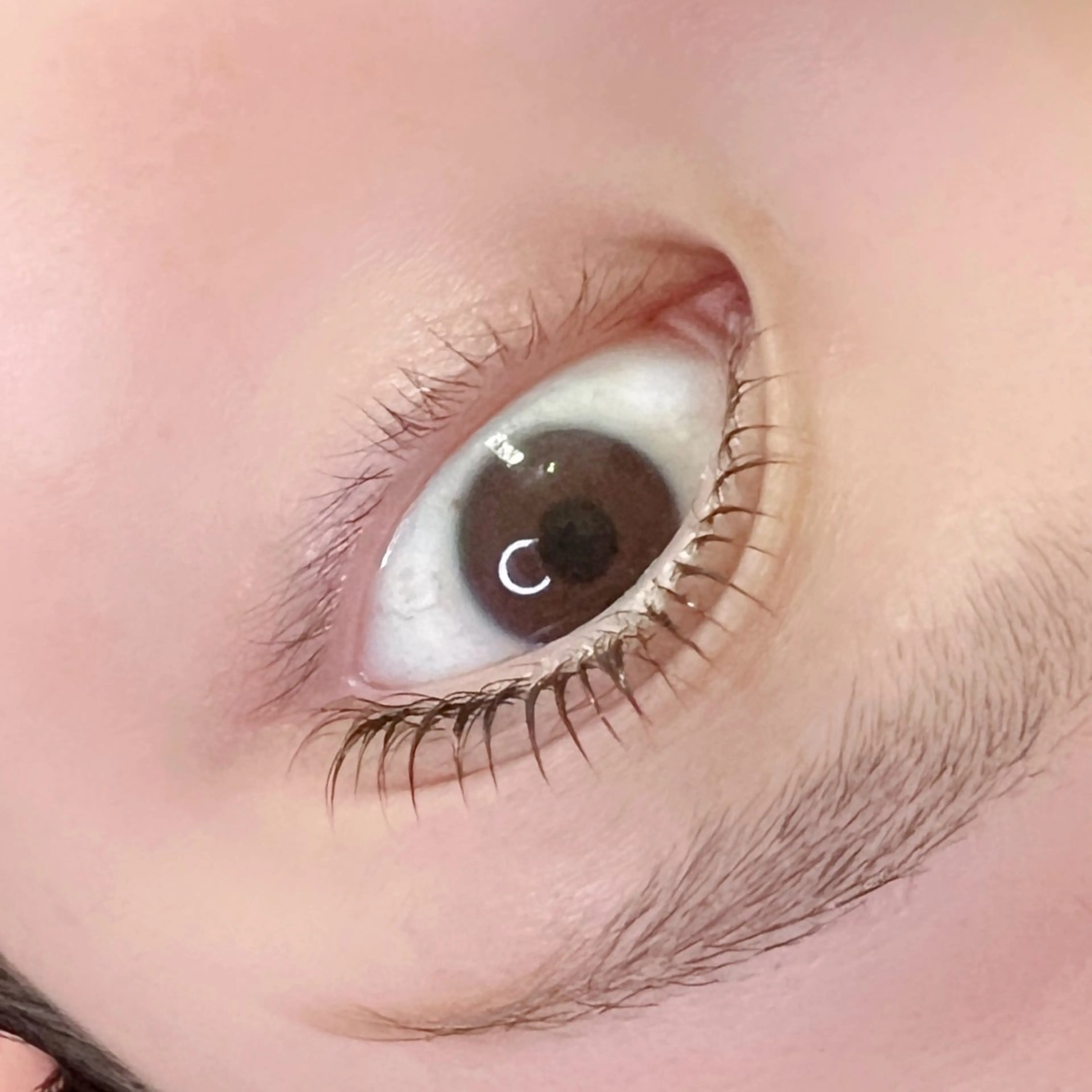 マツエク・マツパ bright所属・eyelash brightのマツエク・マツパデザイン