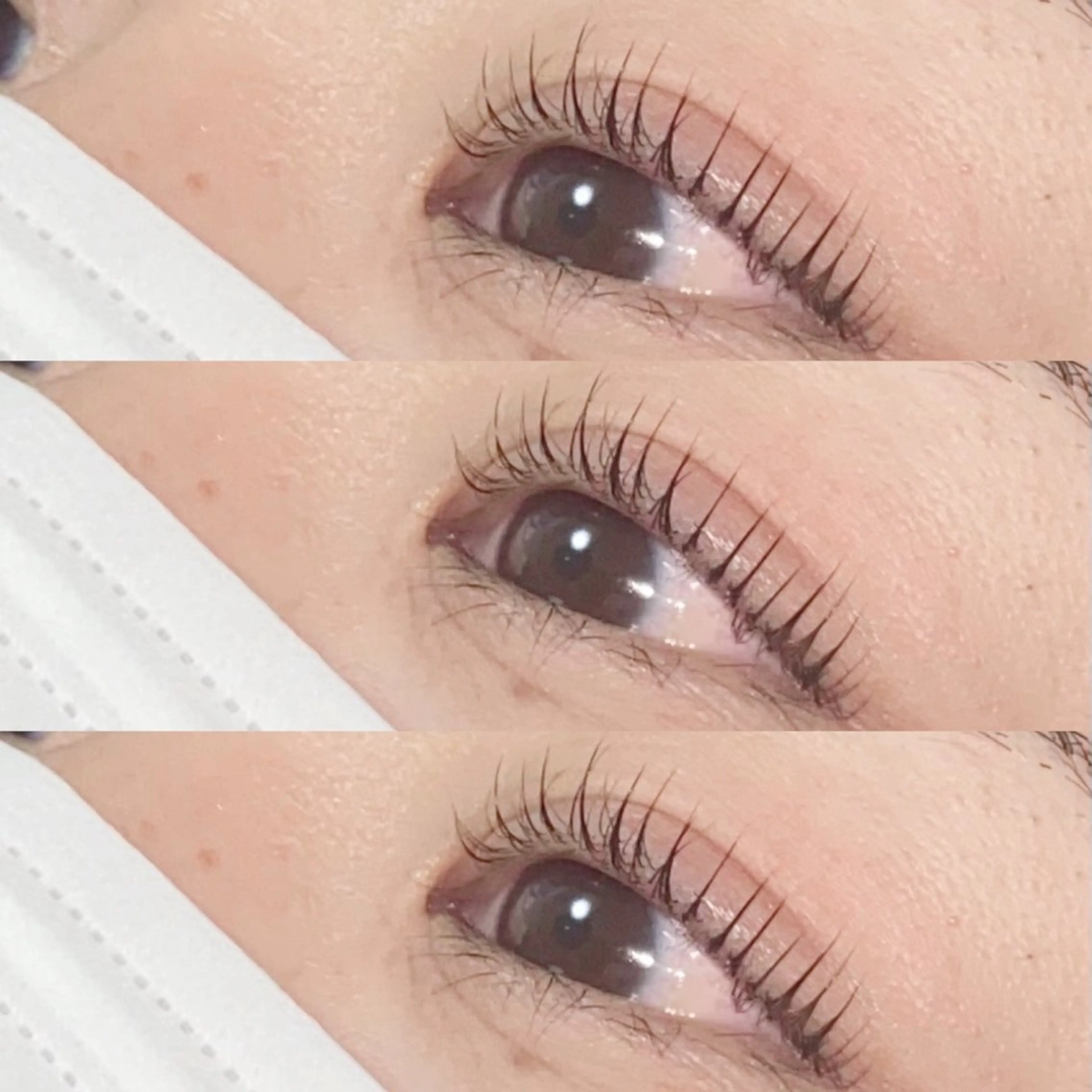 マツエク・マツパ Miyu🦋 【Angelica】のマツエク・マツパデザイン