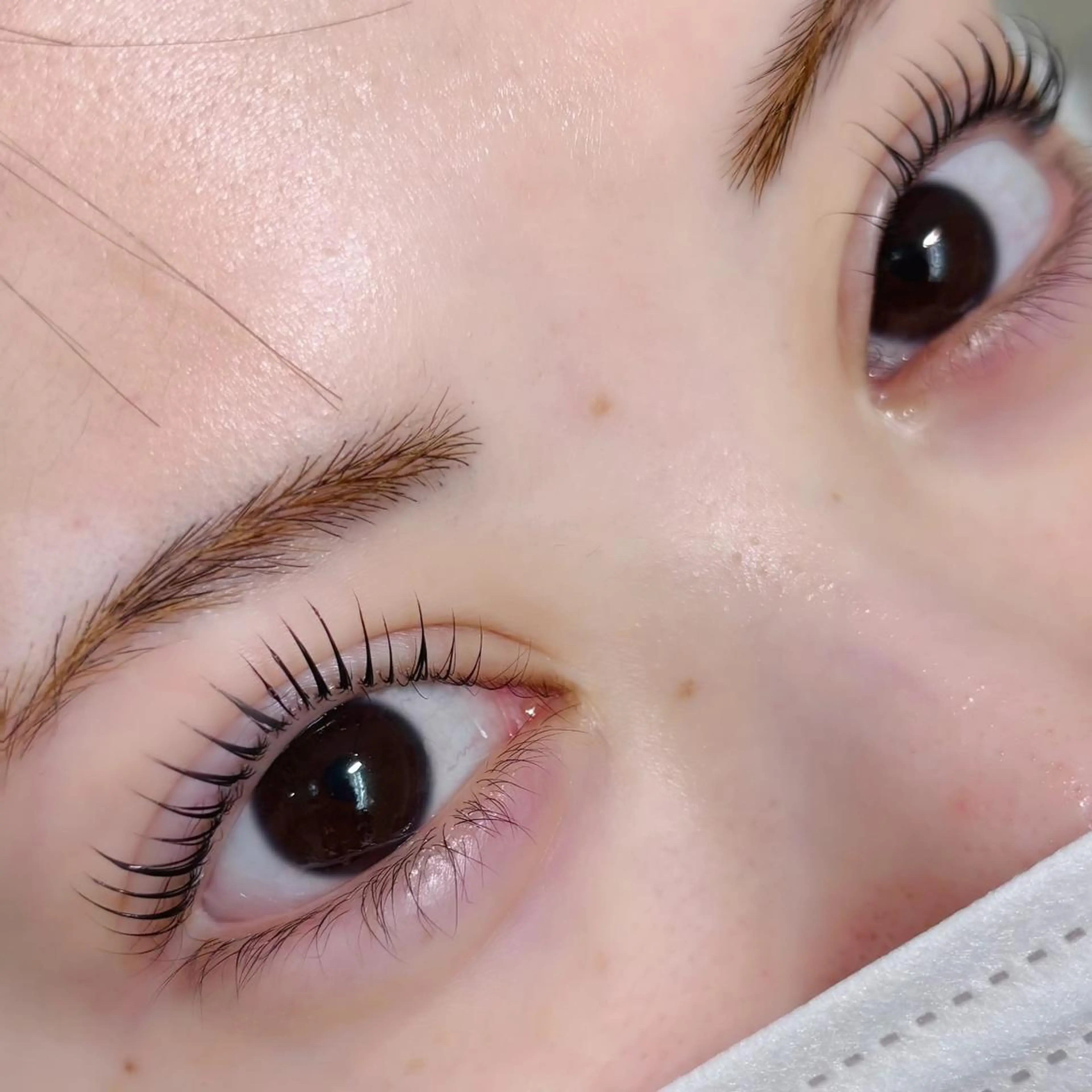 【ご新規様】🍒SETメニュー🍒まつ毛パーマorパリジェンヌ(コーティング付き)+眉毛Wax 土日祝➕550の写真