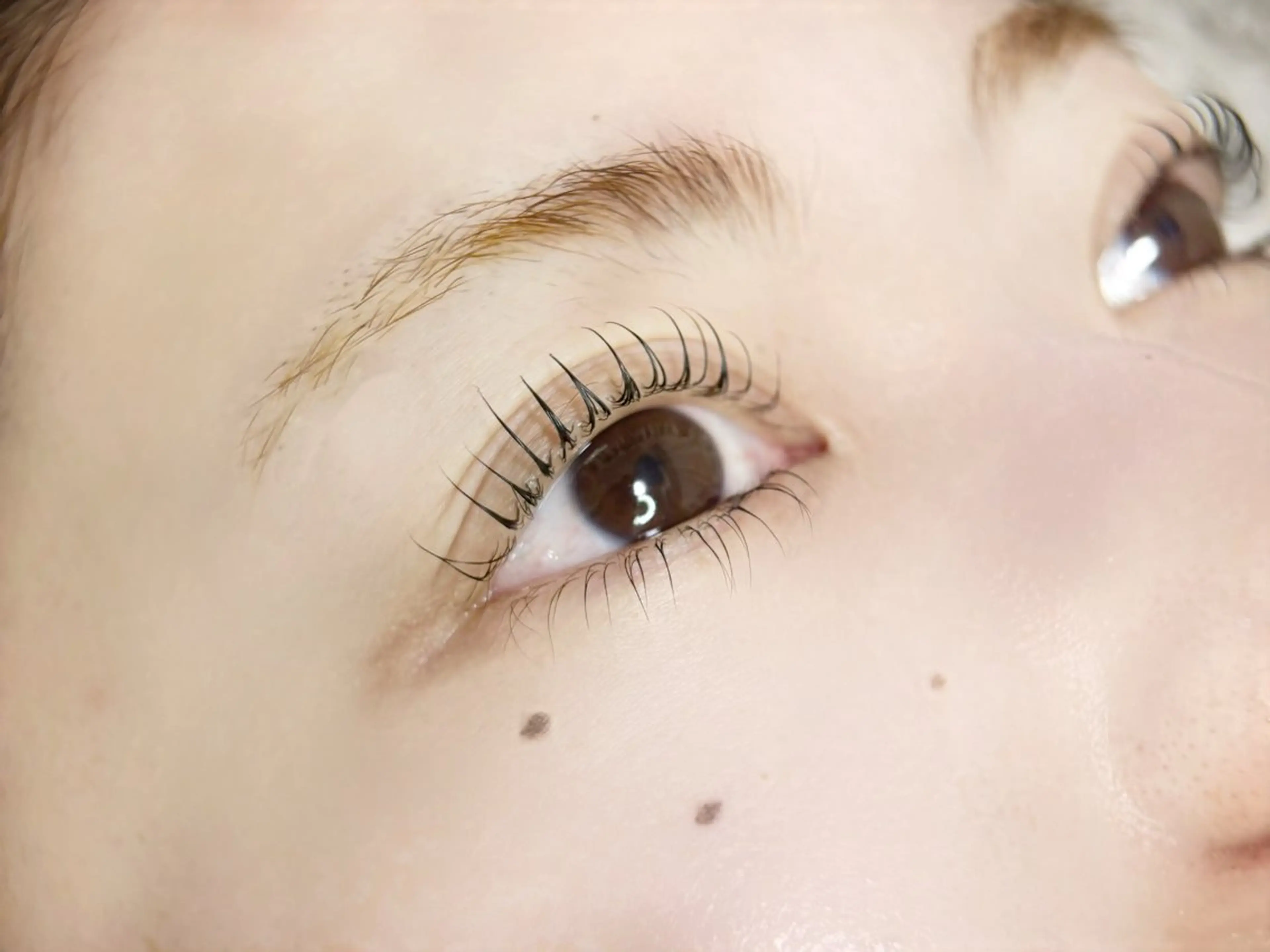 マツエク・マツパ マツパ PIMIL佐々木 亜里沙のマツエク・マツパデザイン