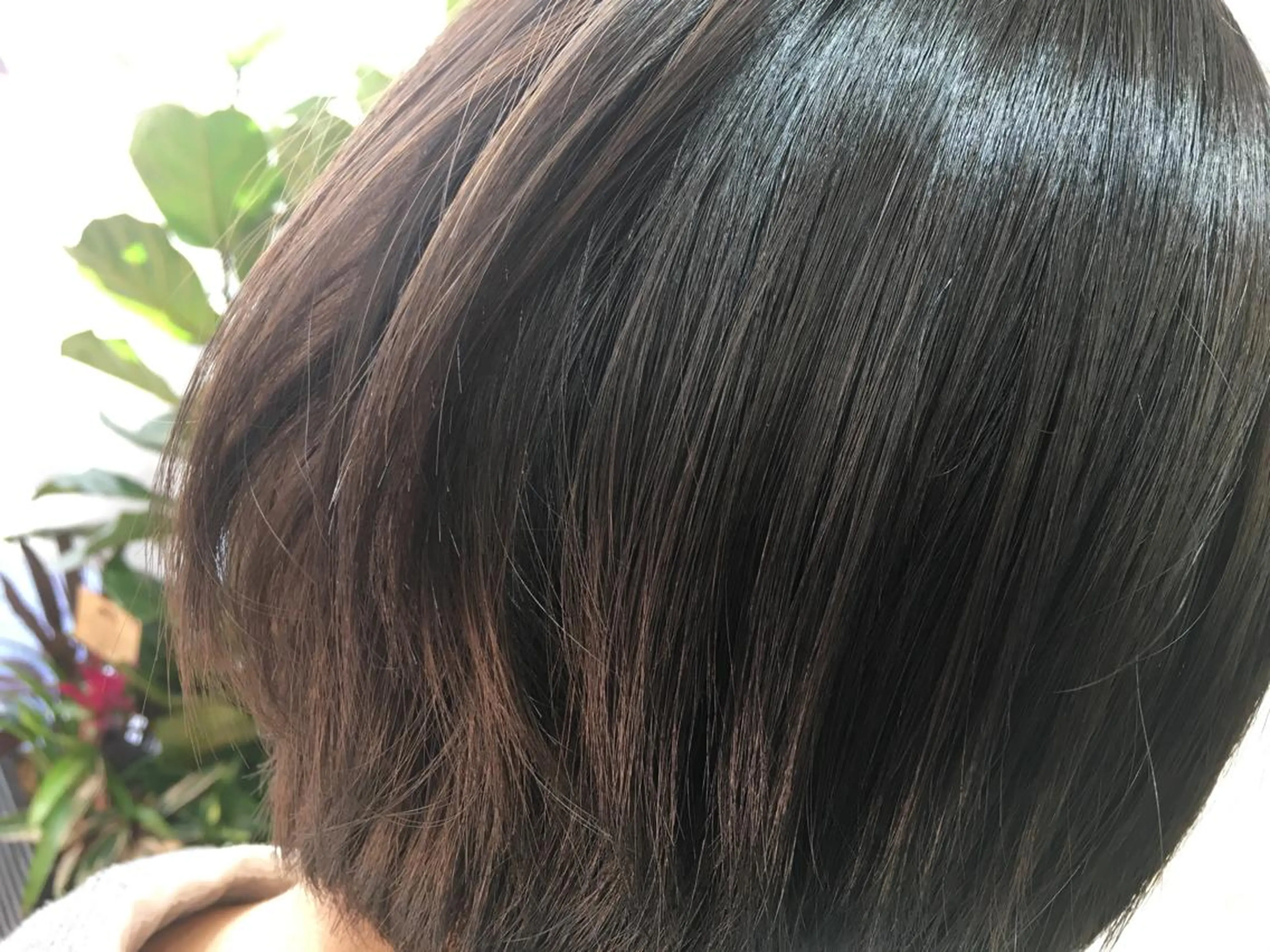 ショート カラー アッシュ アッシュグレー 藤井 仁紀のヘアスタイル