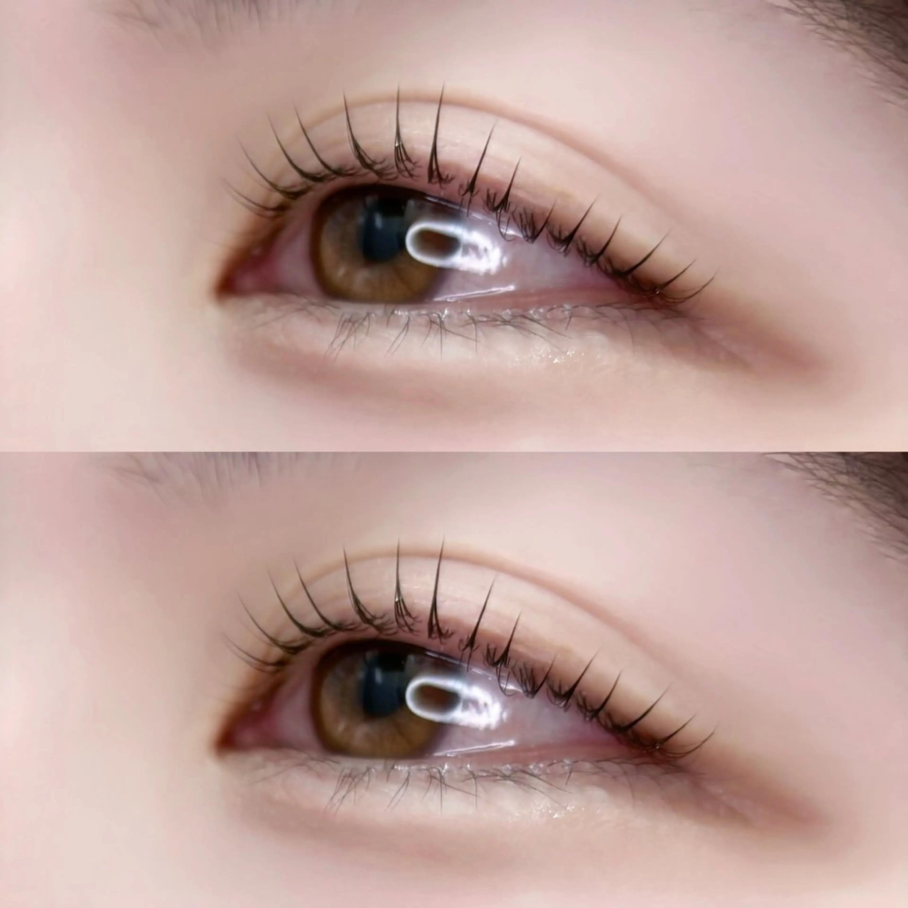 マツエク・マツパ Lupines Asahi🔆のマツエク・マツパデザイン