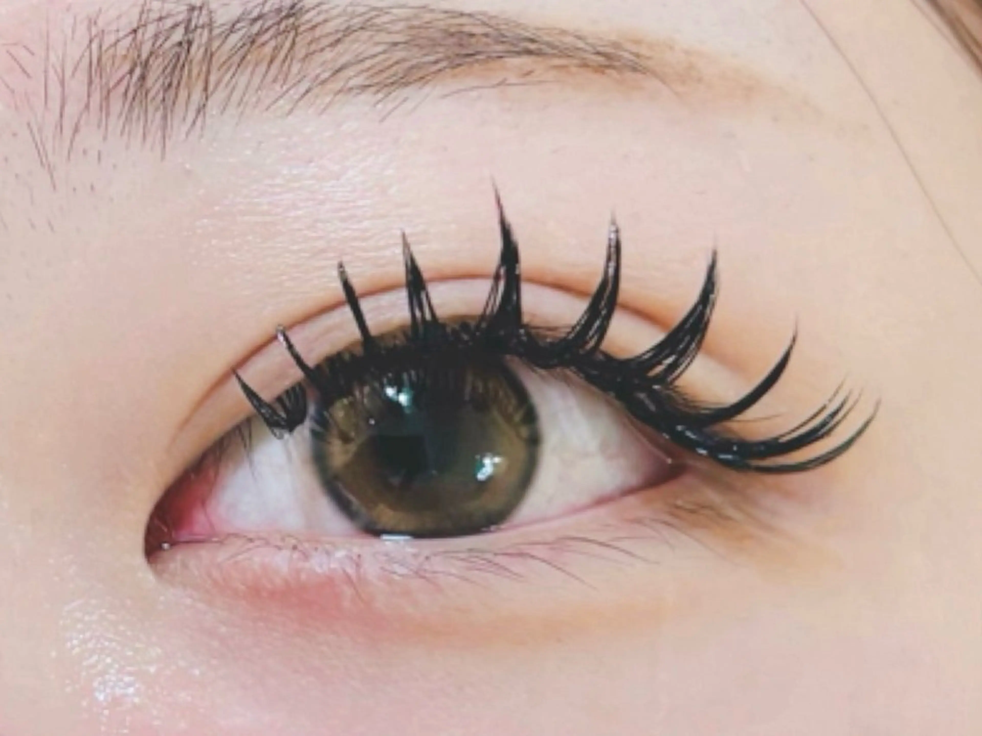 🌴【4月日限定価格】Wフラットラッシュ🌴240本(120束)オフ無料リピーター価格¥7500話題の束感ワンホンの写真