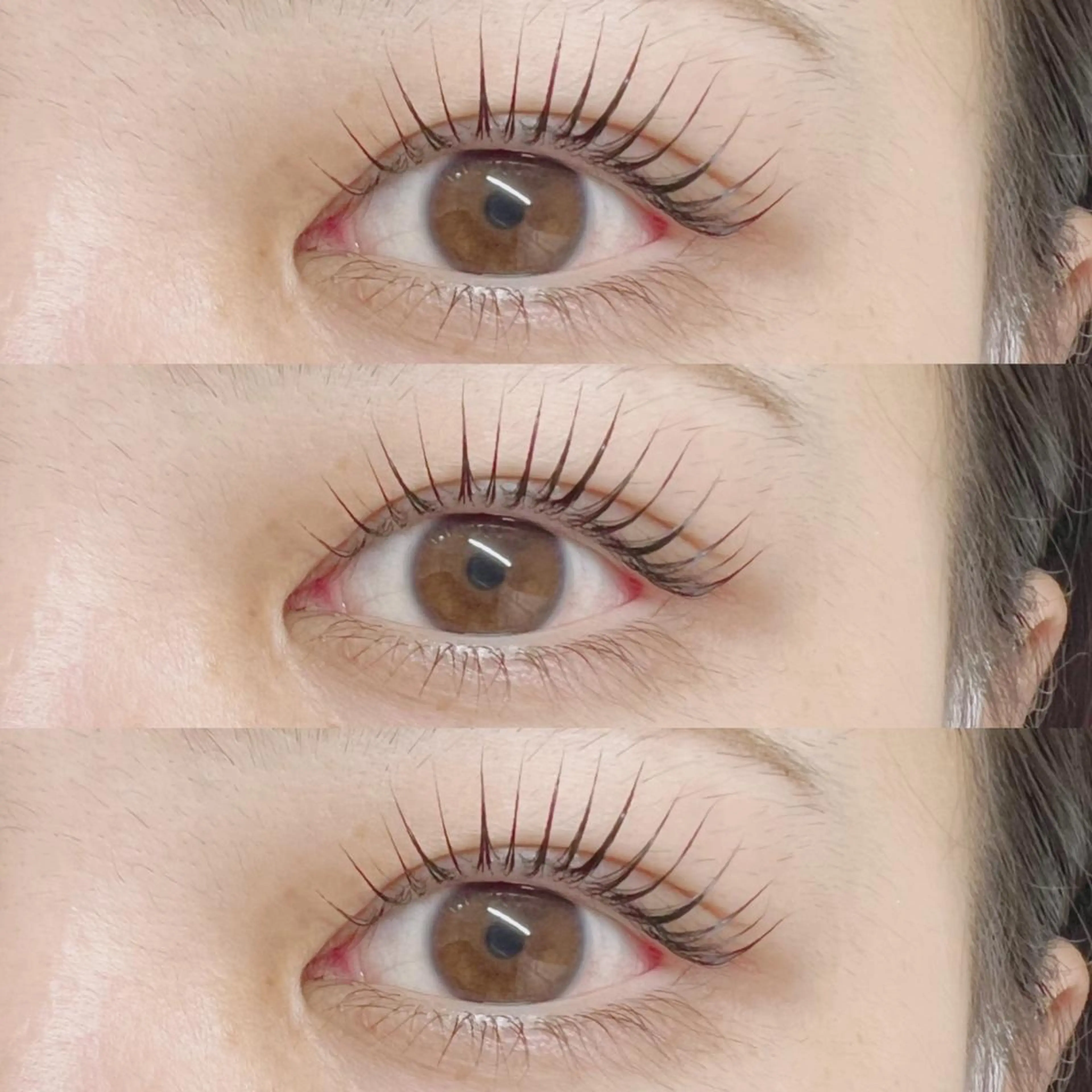 【特別価格🍒】パリジェンヌラッシュリフト¥1,000の写真