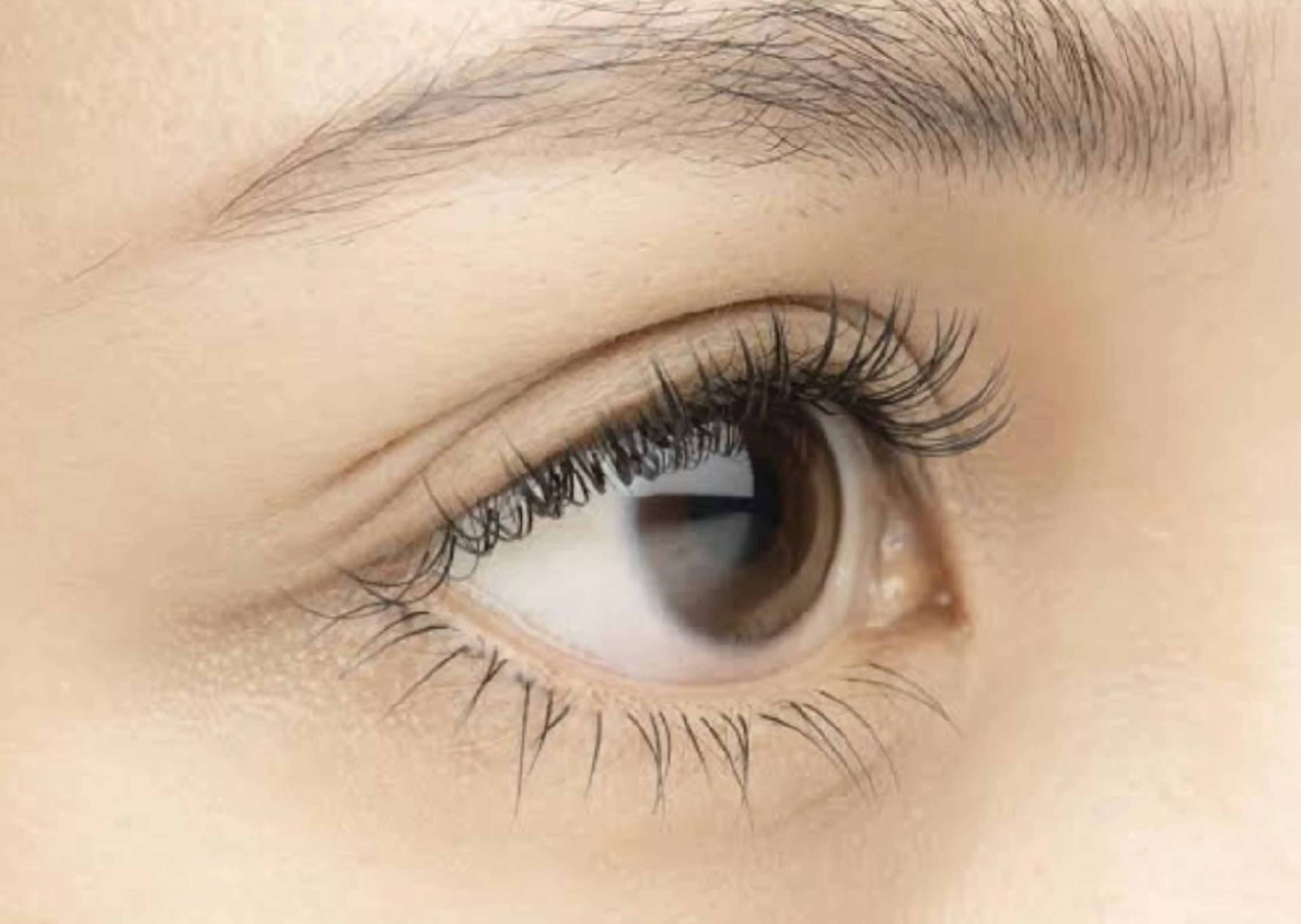 上下まつ毛パーマ+トリートメントコーティング付きの写真