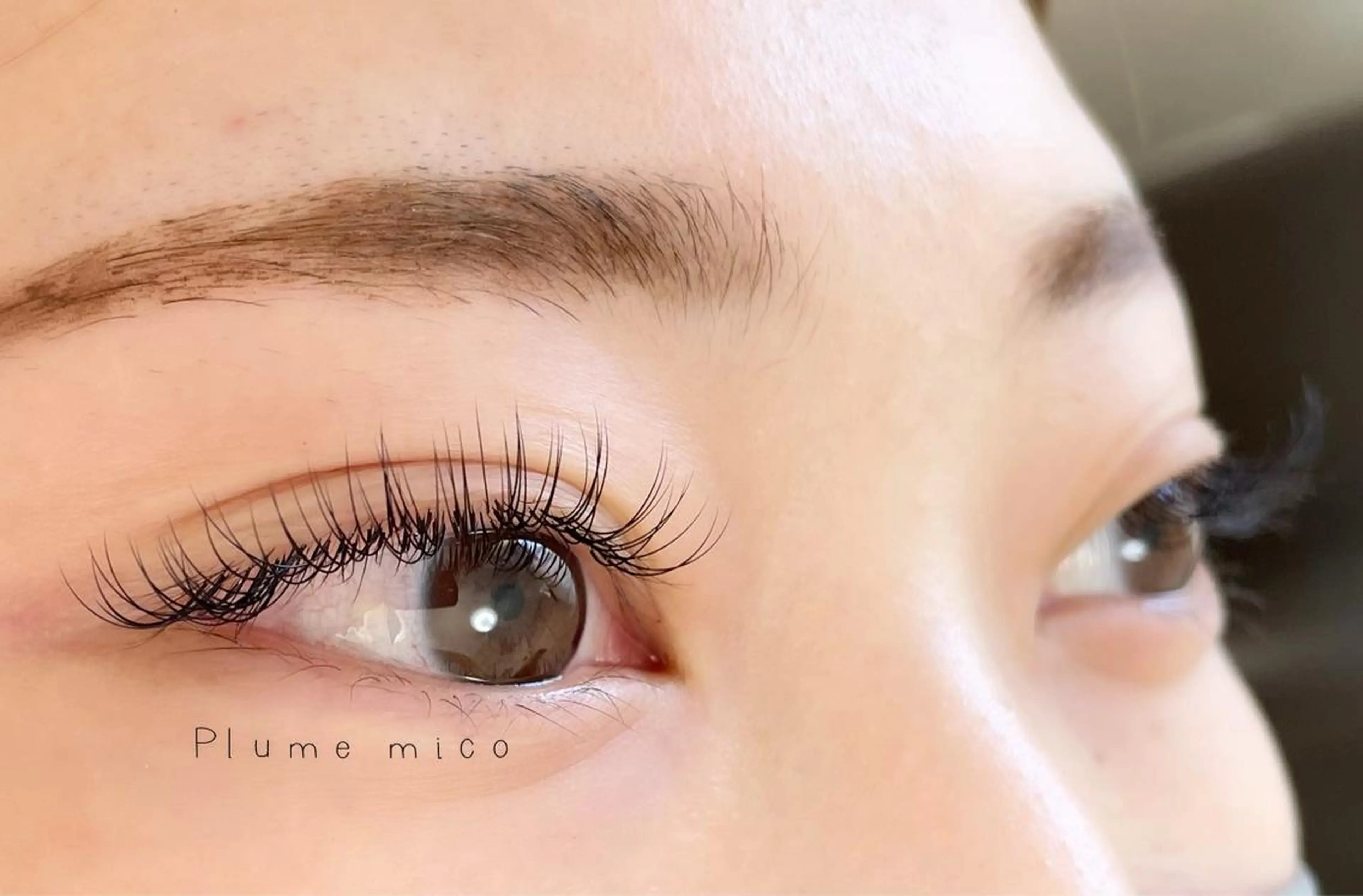 マツエク・マツパ Dカール マツエク Plume micoのマツエク・マツパデザイン