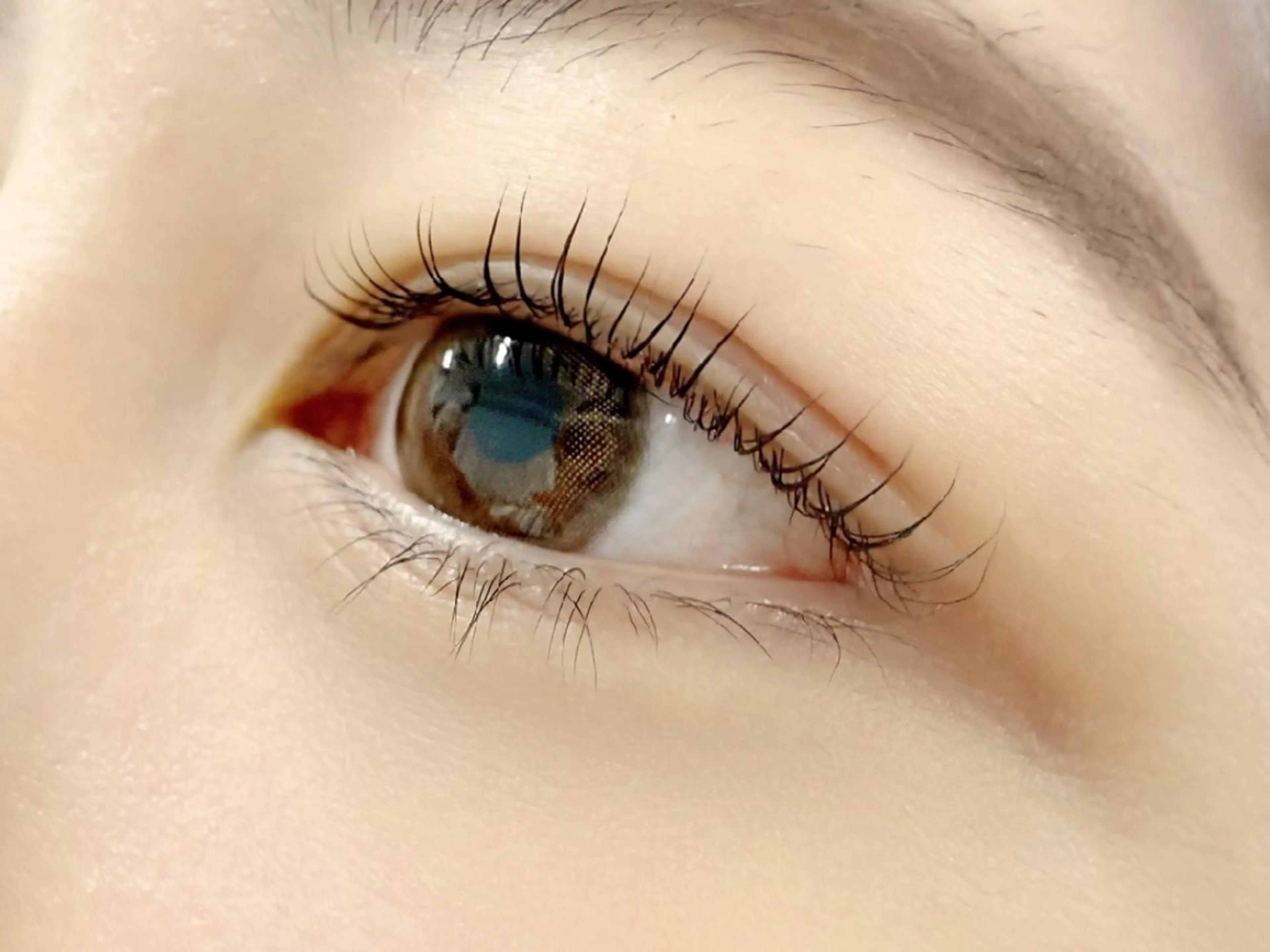 《まつ毛パーマ&眉カット✨》の写真