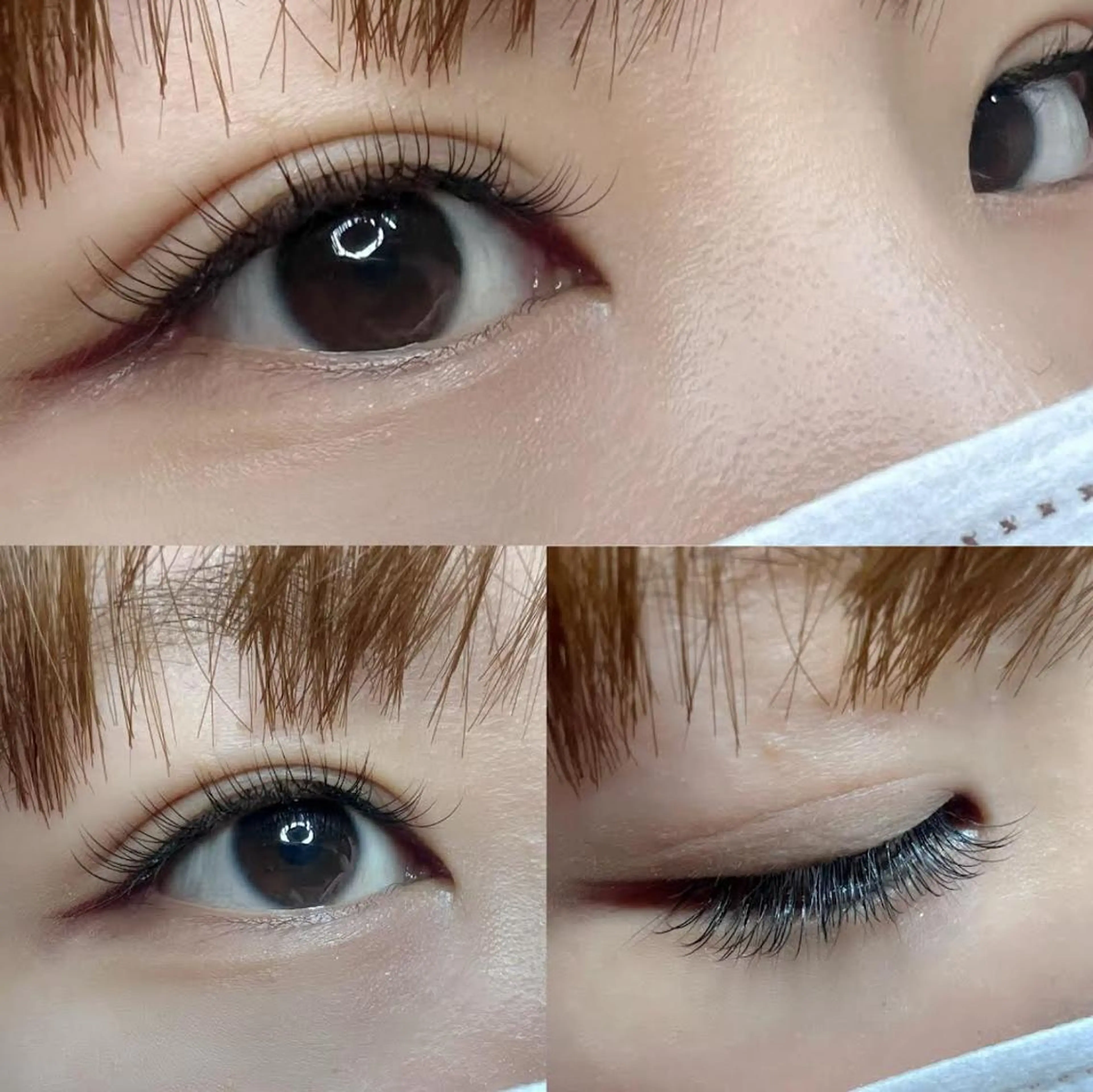 マツエク・マツパ Dカール セーブル 一重×まつ毛パーマ マツエク 六花〜rikka〜所属・六花 〜rikka〜のマツエク・マツパデザイン