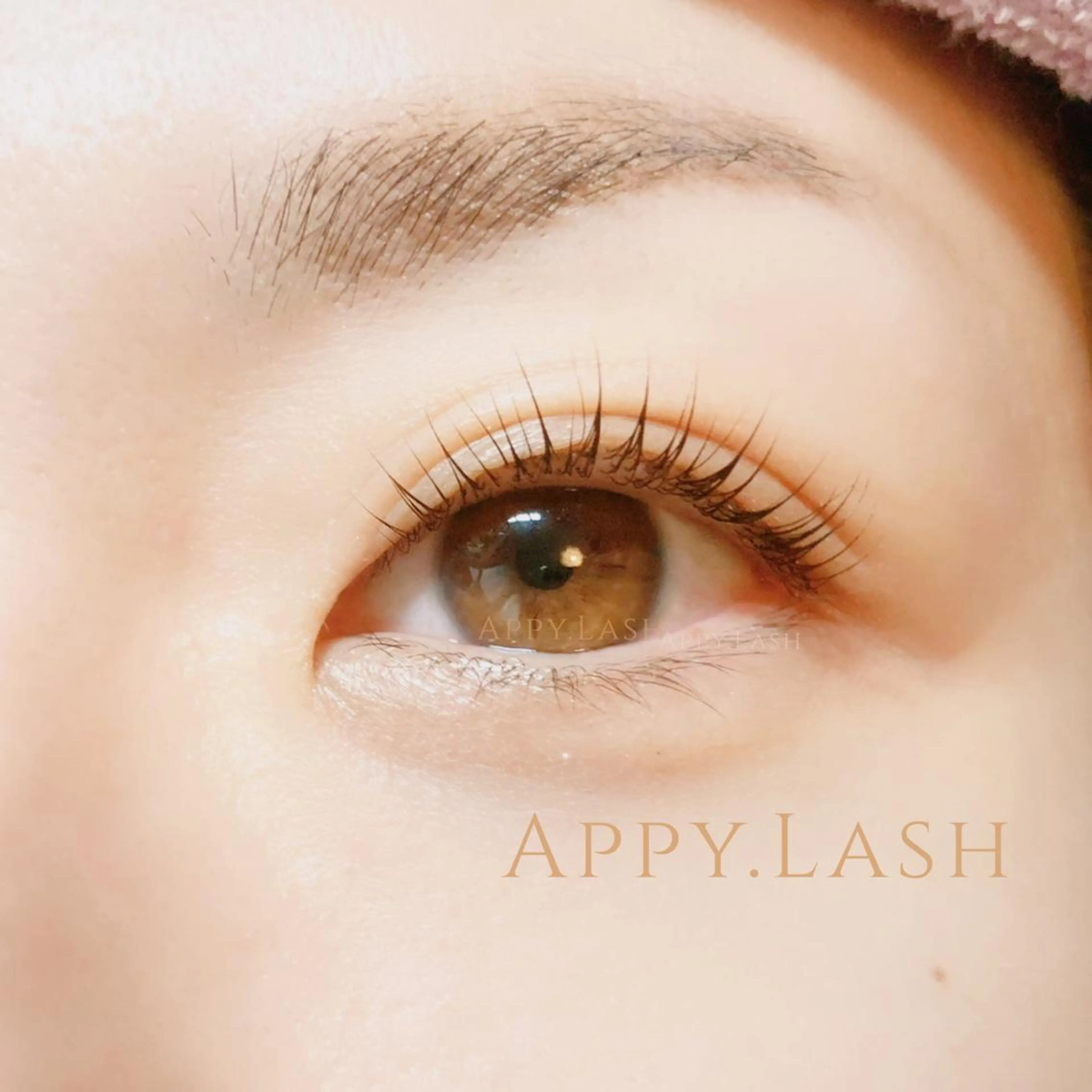 マツエク・マツパ フラットラッシュ ナチュラル パリジェンヌラッシュリフト まつげパーマ ボリュームラッシュ まつげと眉の専門店 Appy.Lashのマツエク・マツパデザイン