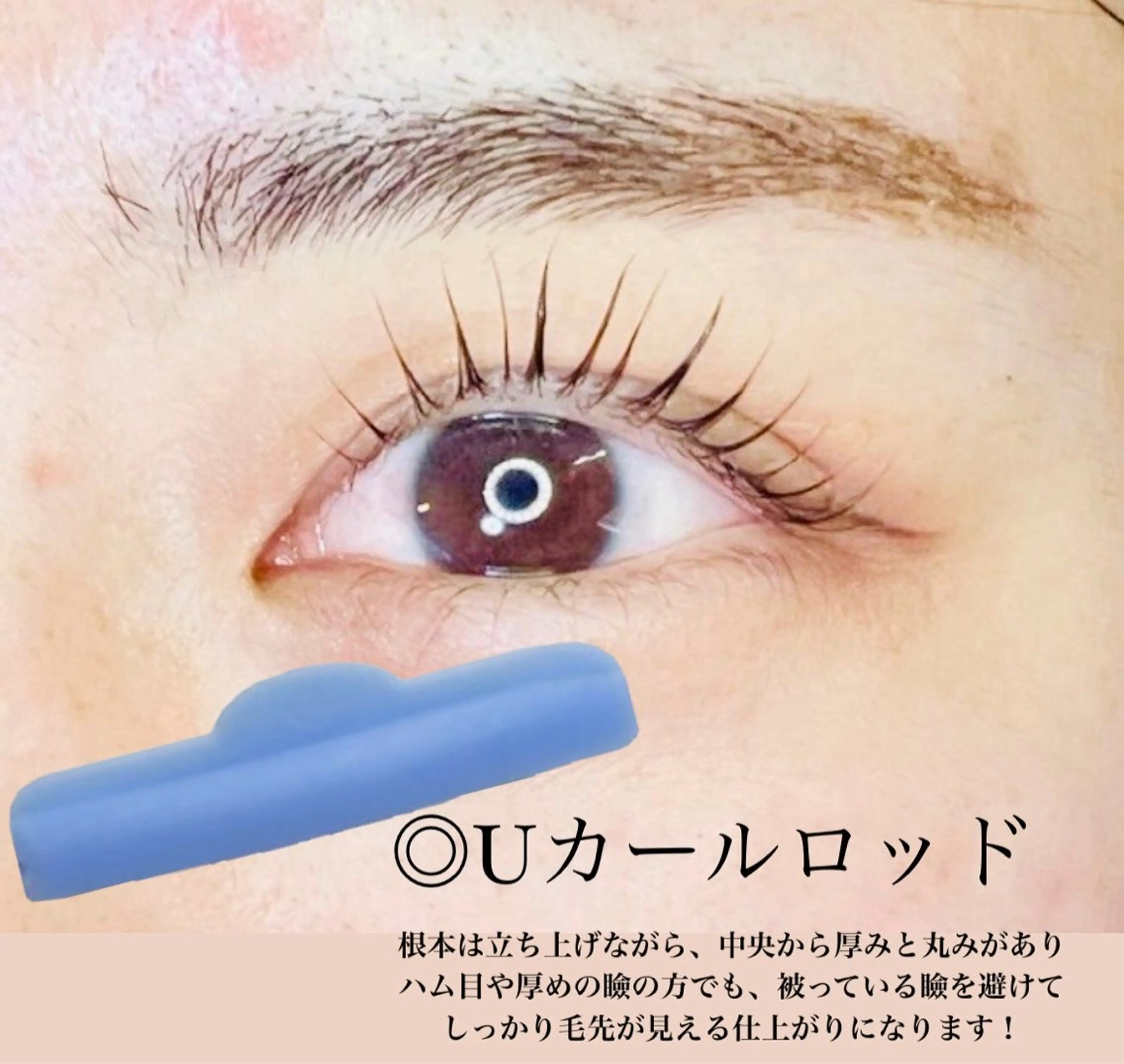 【マツパ】ラッシュリフト☆¥3800の写真