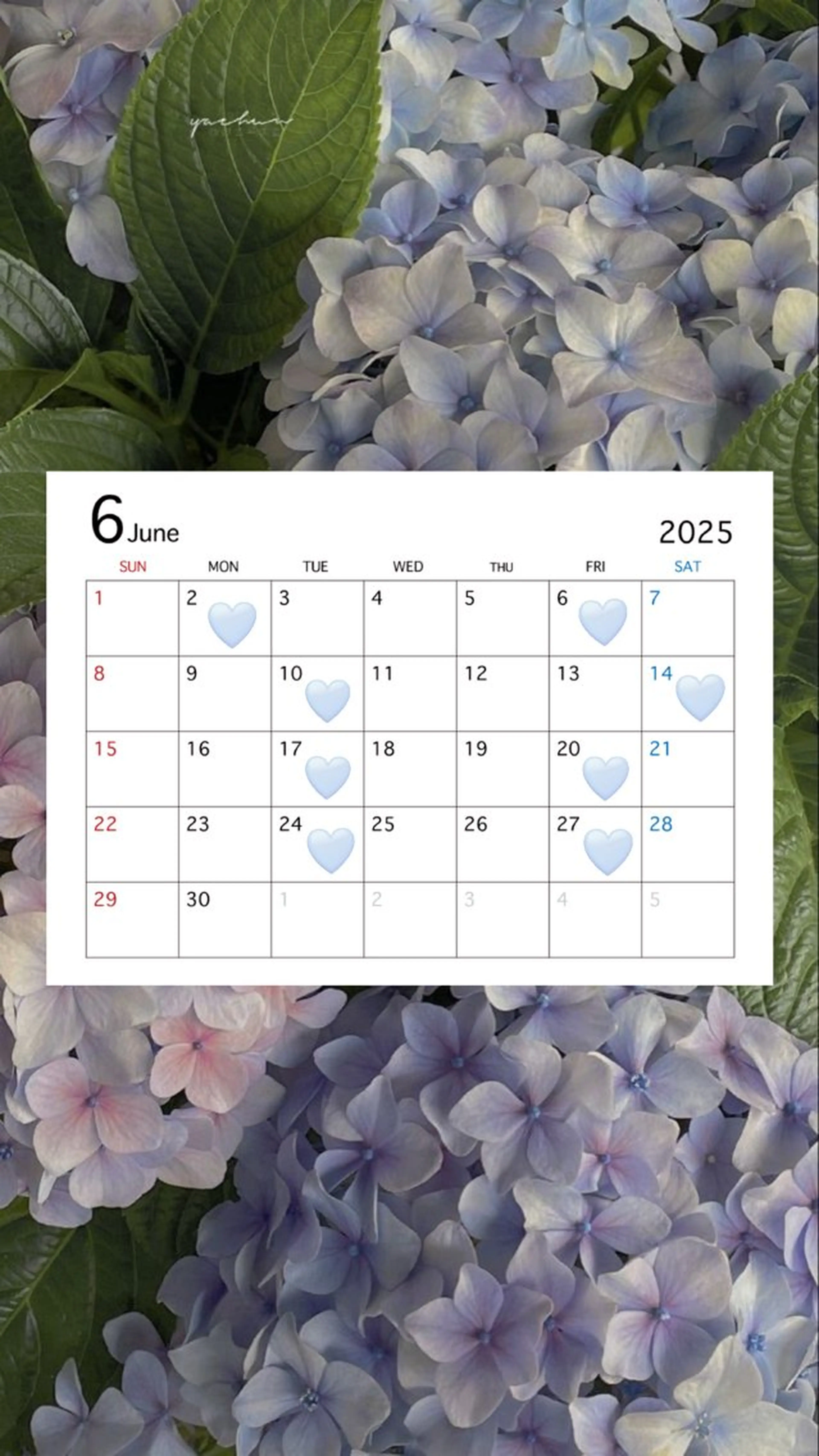 H  eyelash ⌇𝐦𝐢𝐮 ☽のマツエク・マツパデザイン