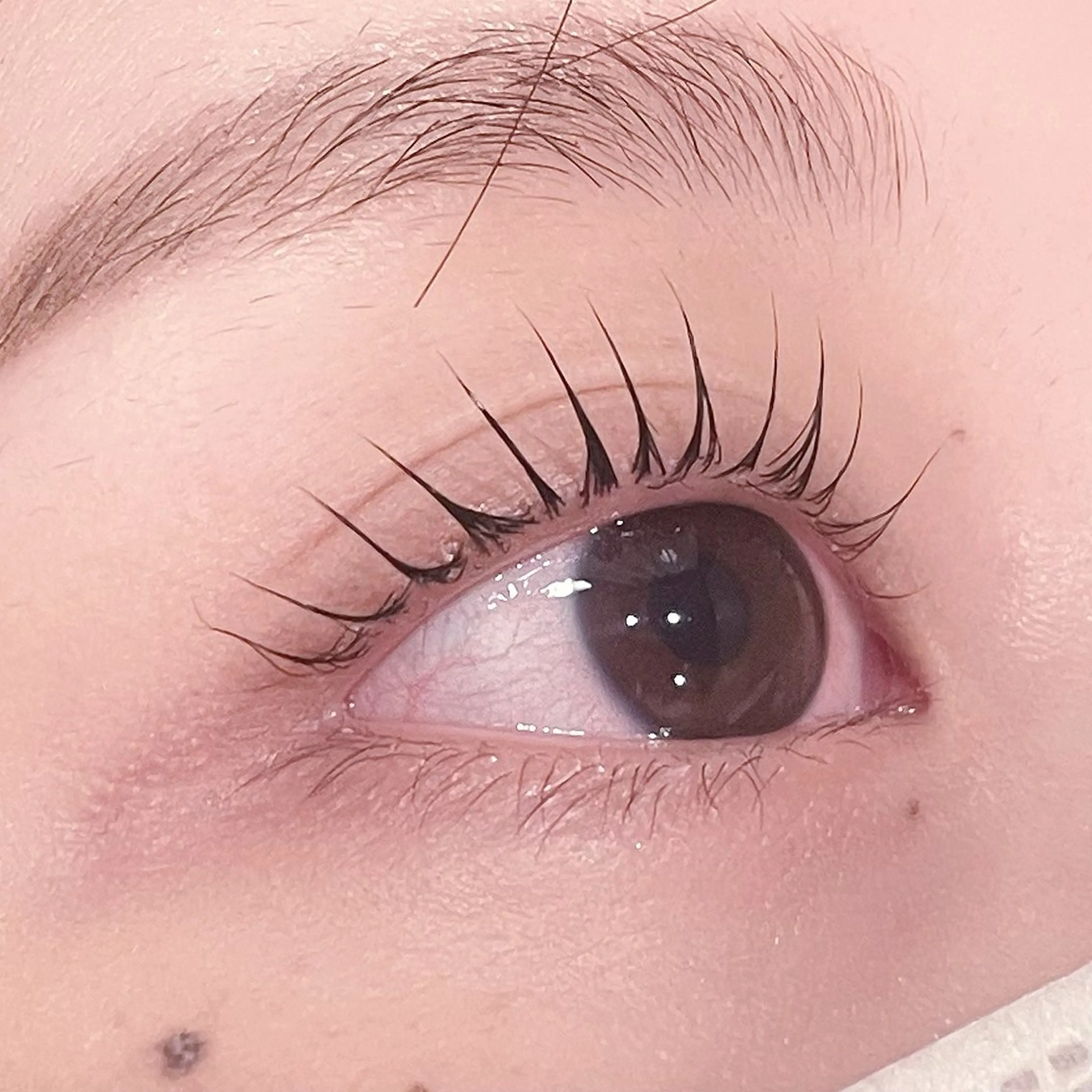 マツエク・マツパ pono大宮東口店 店長🩰AOHA🩰のマツエク・マツパデザイン