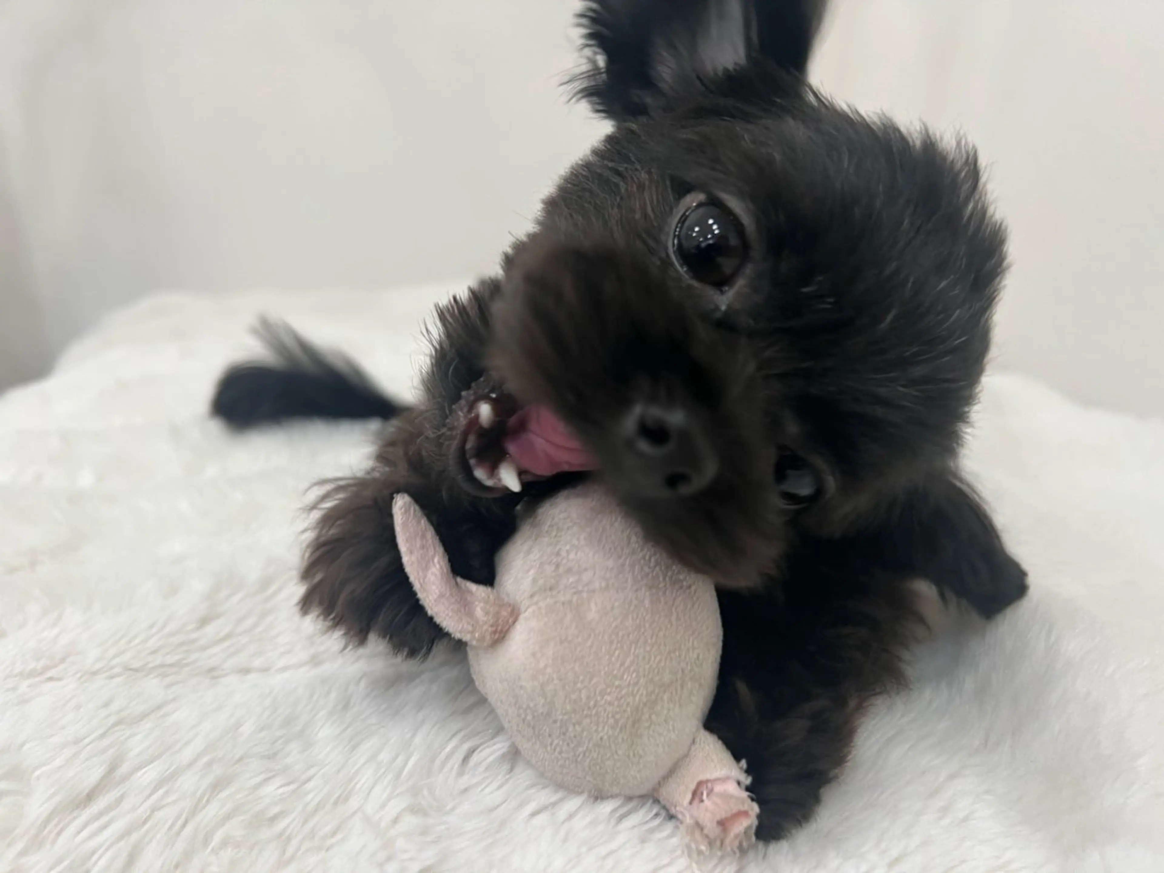 eye salon u-ga所属・eye salon U-ga/中目黒のその他イメージ