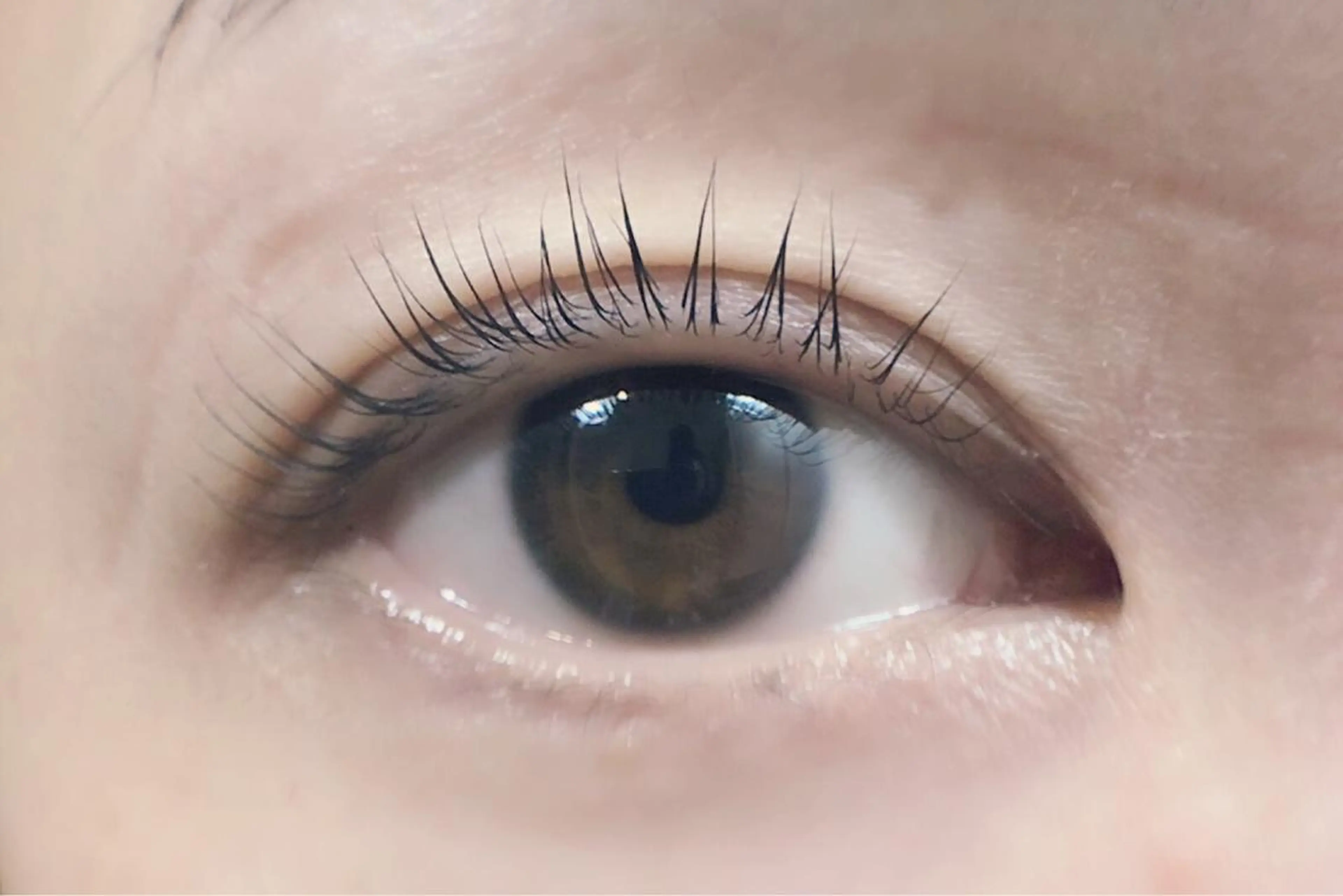 マツエク・マツパ まつげパーマ sii. eyelashのマツエク・マツパデザイン