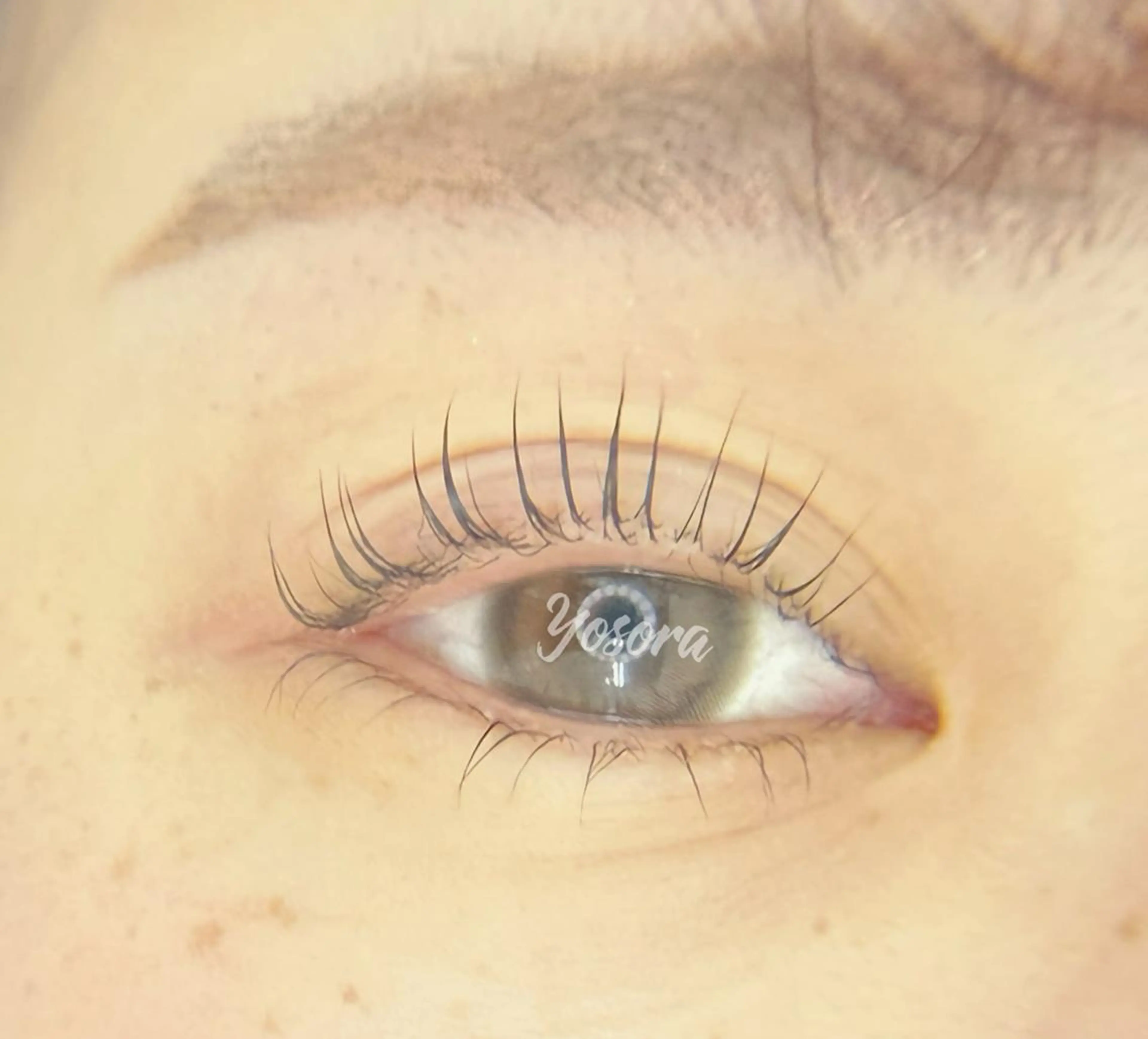 マツエク・マツパ 一重×まつ毛パーマ マツパ Yosora salonのマツエク・マツパデザイン