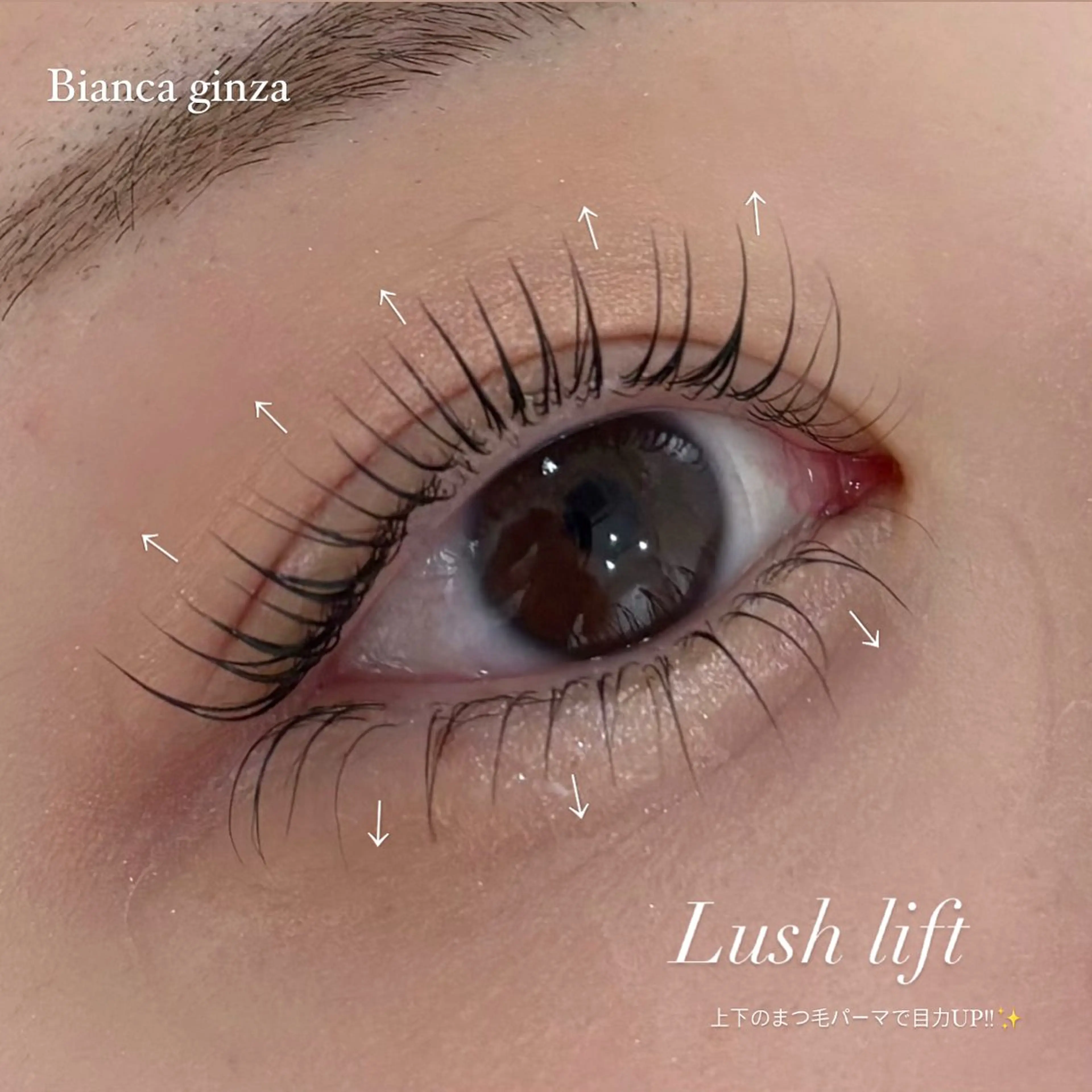 マツエク・マツパ Bianca 銀座 Sakuraiのその他イメージ