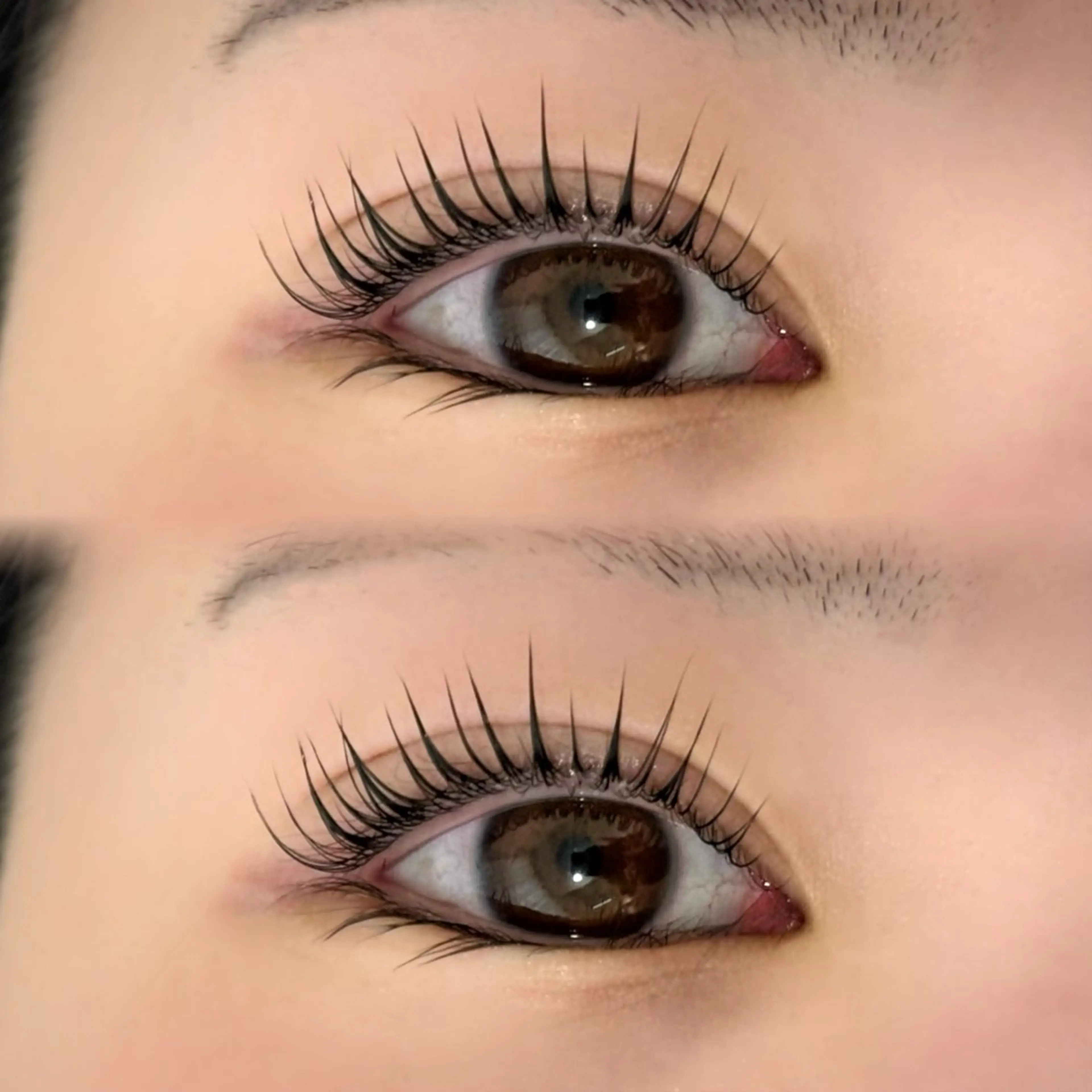 🍊パリジェンヌラッシュリフト🍊の写真