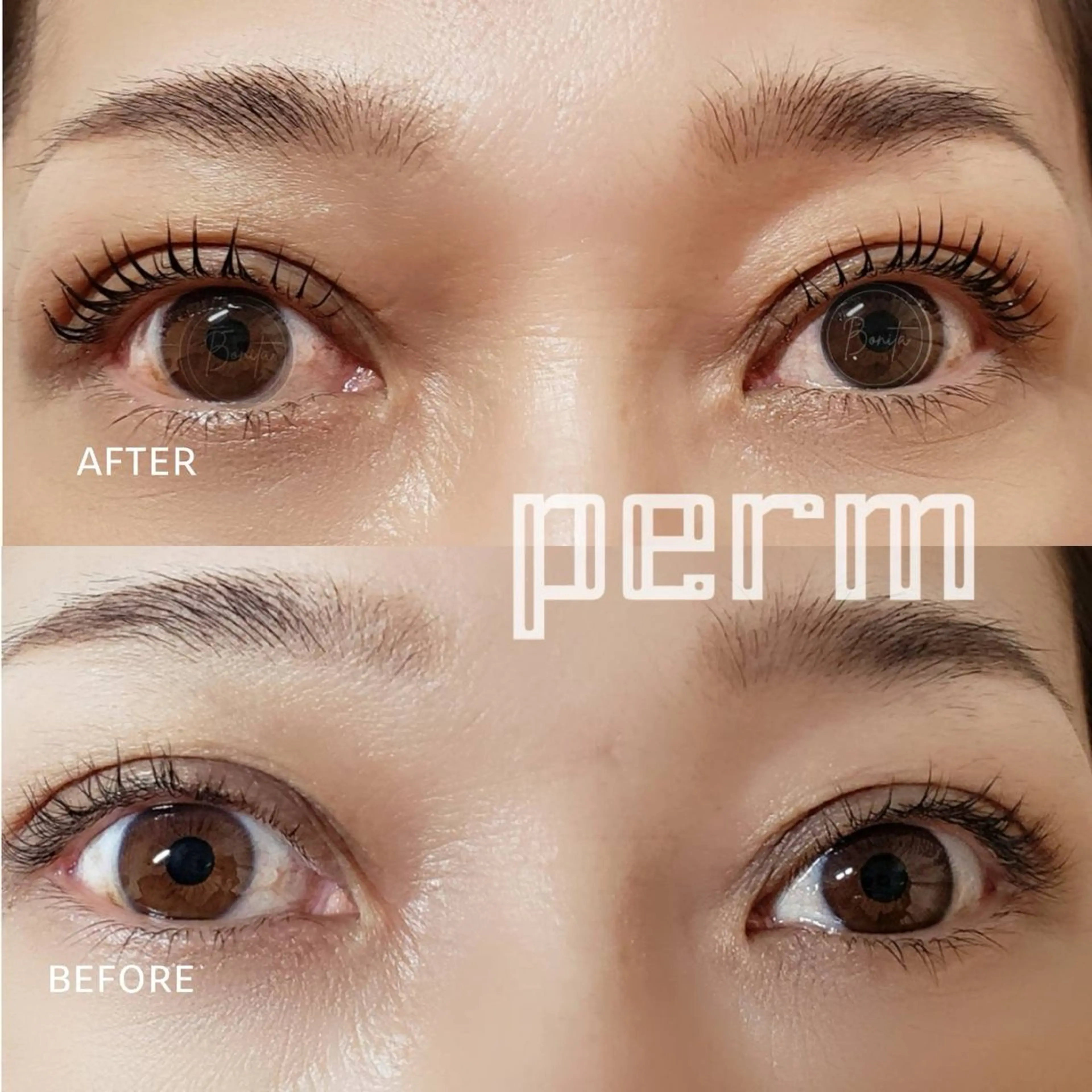 マツエク・マツパ 一重×まつ毛パーマ 山本 マツゲのマツエク・マツパデザイン