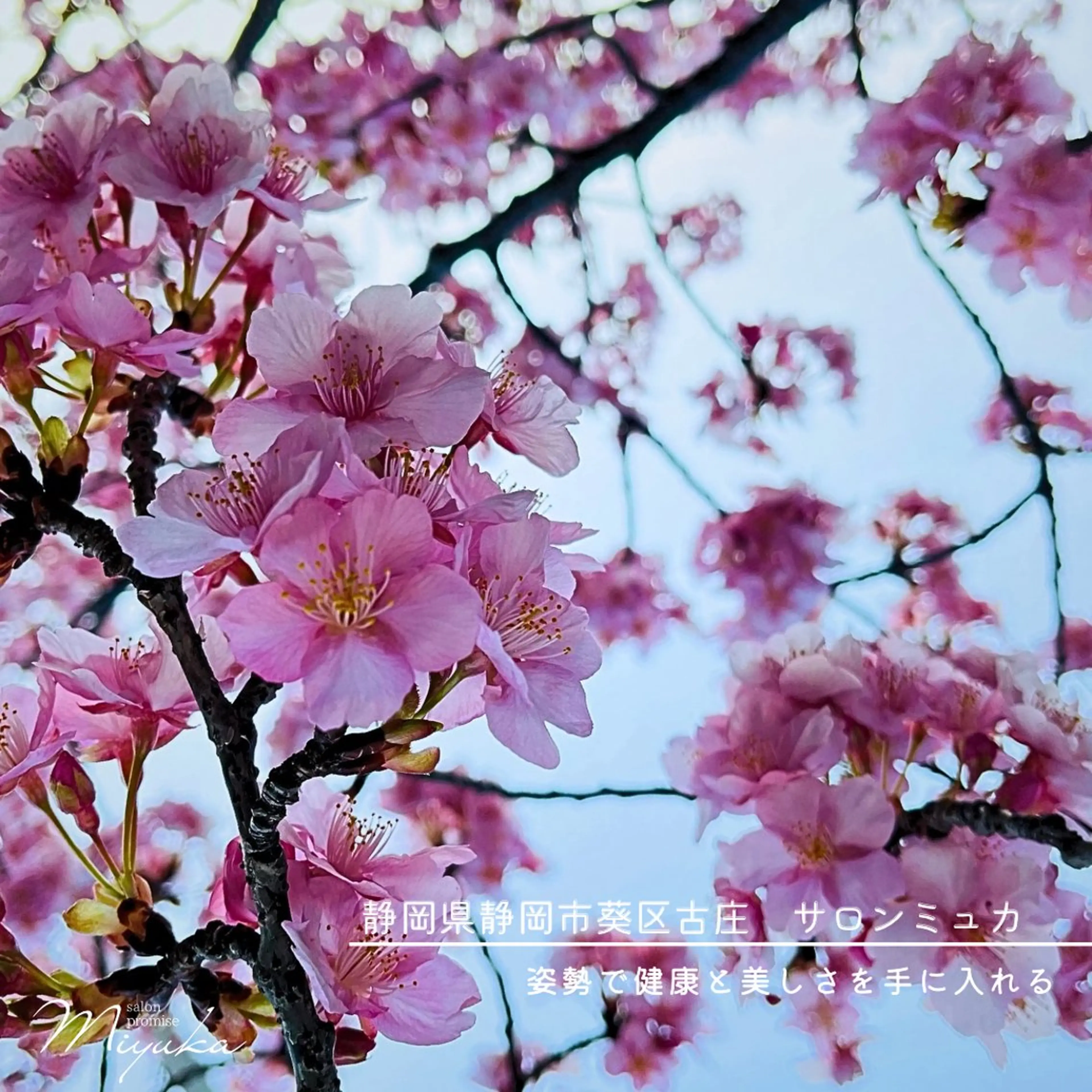 姿勢改善サロン ミュカのエステ・リラクイメージ