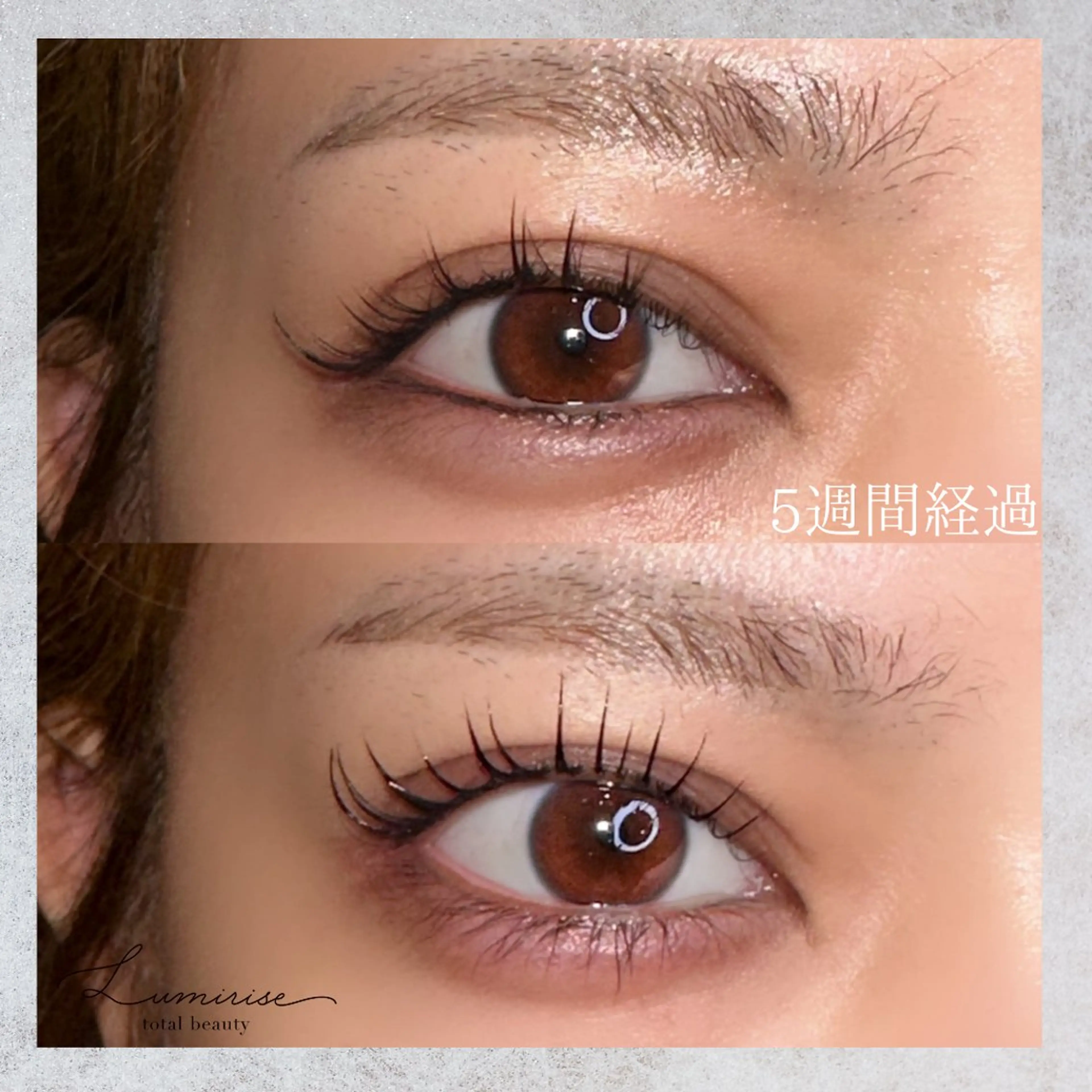 マツエク・マツパ マツパ Eyelash Lumiriseのマツエク・マツパデザイン