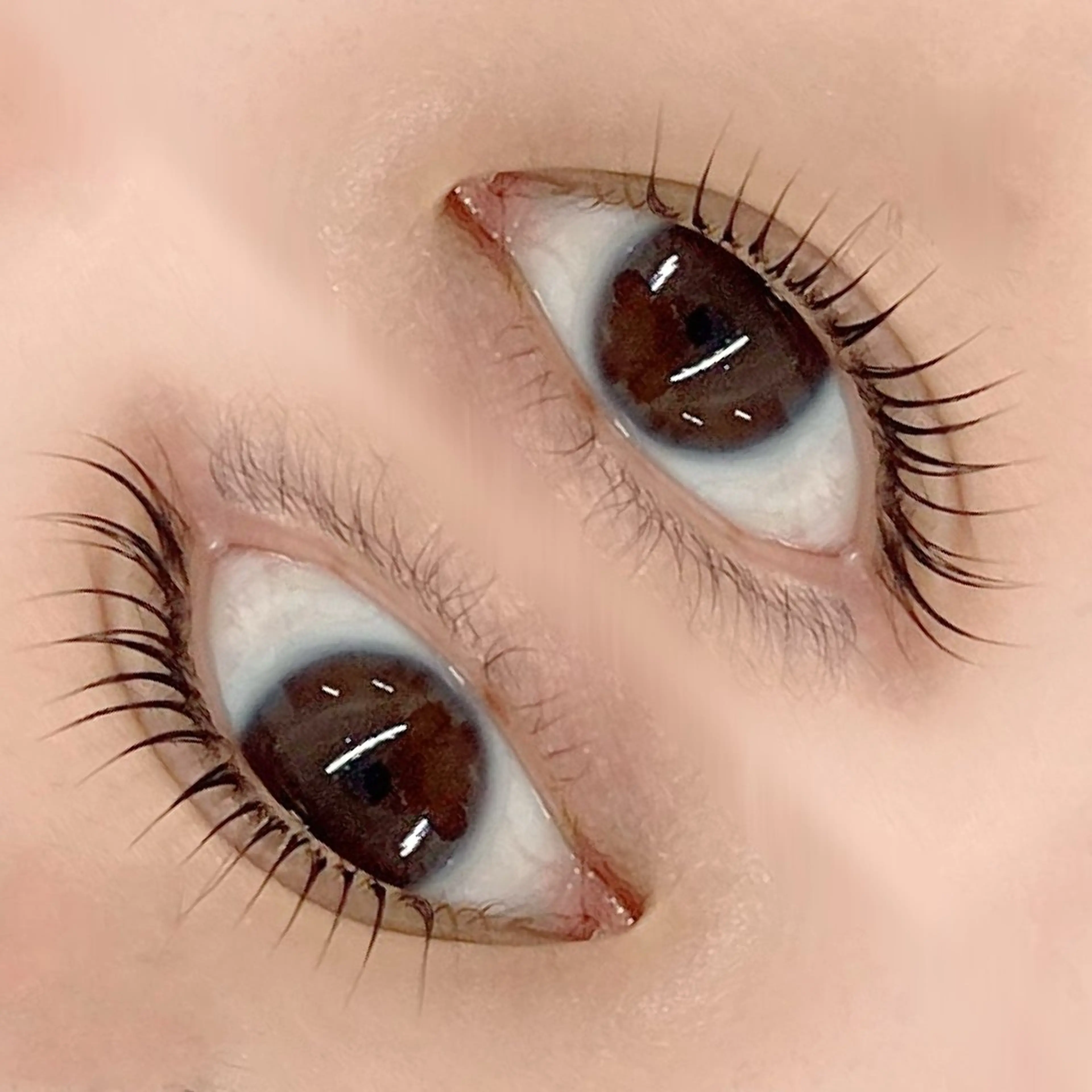 マツエク・マツパ まつげパーマ マツパ フジ ワラのマツエク・マツパデザイン