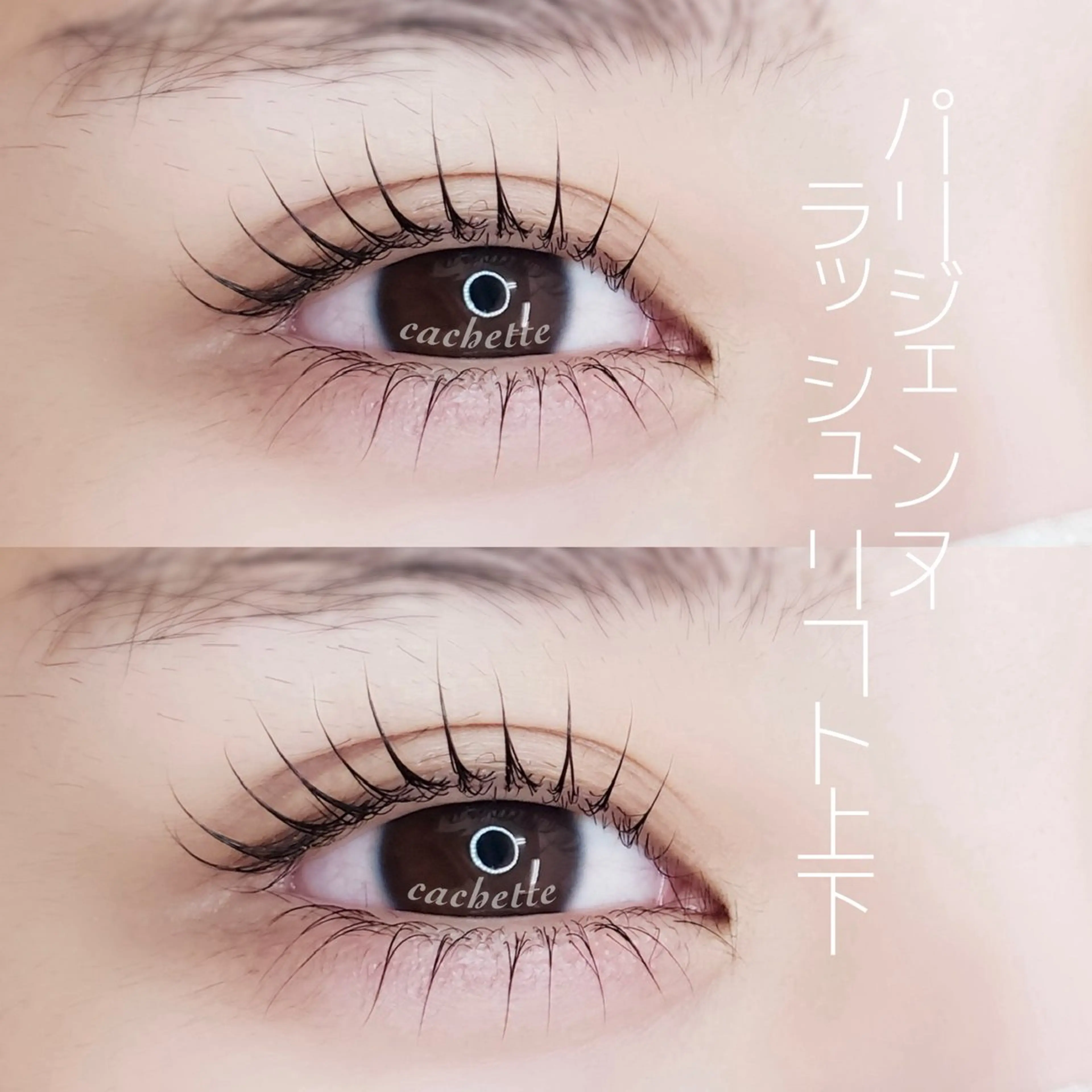 パリジェンヌラッシュリフト　上下（トリートメント付き）の写真