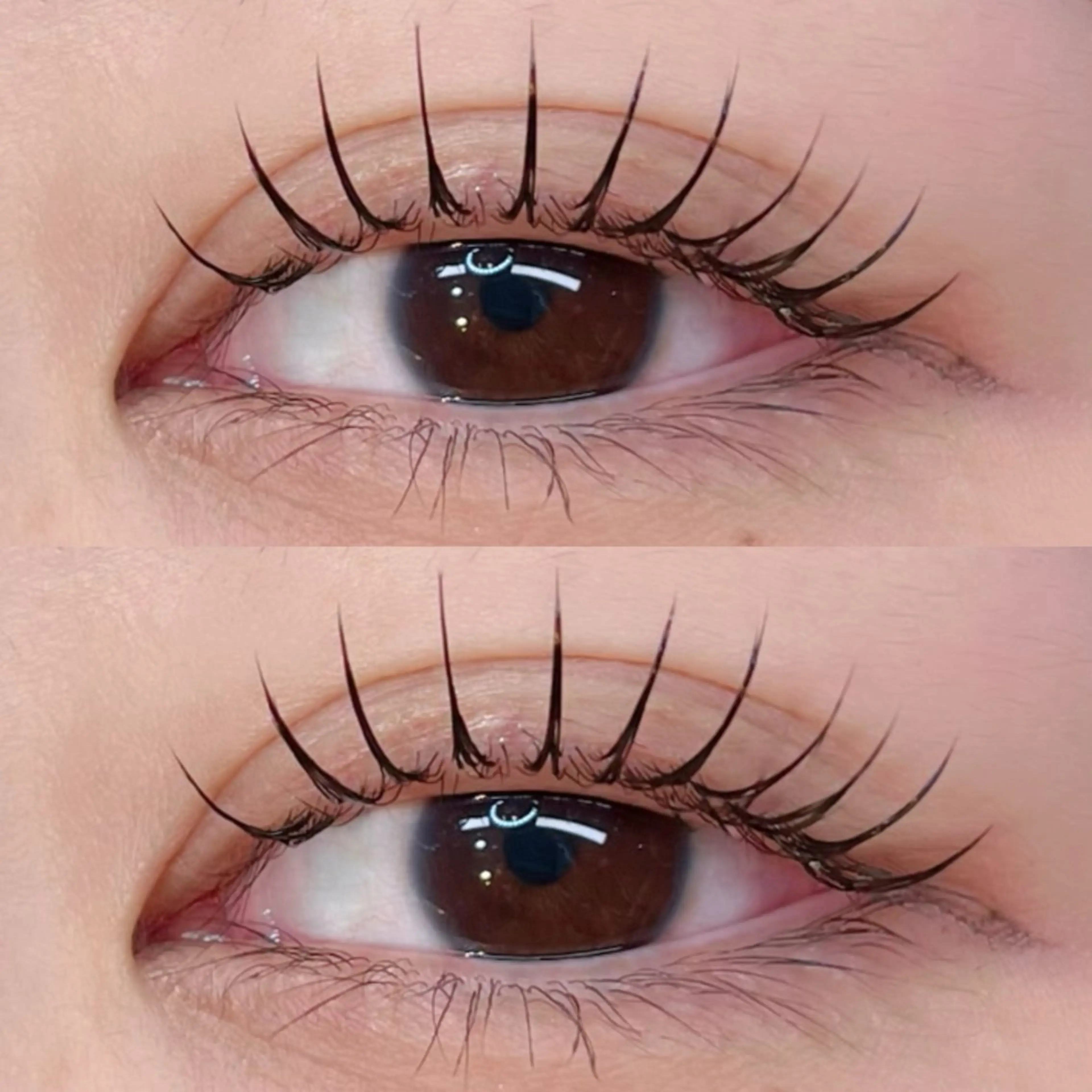 バインドロック80束（160本）❗️の写真