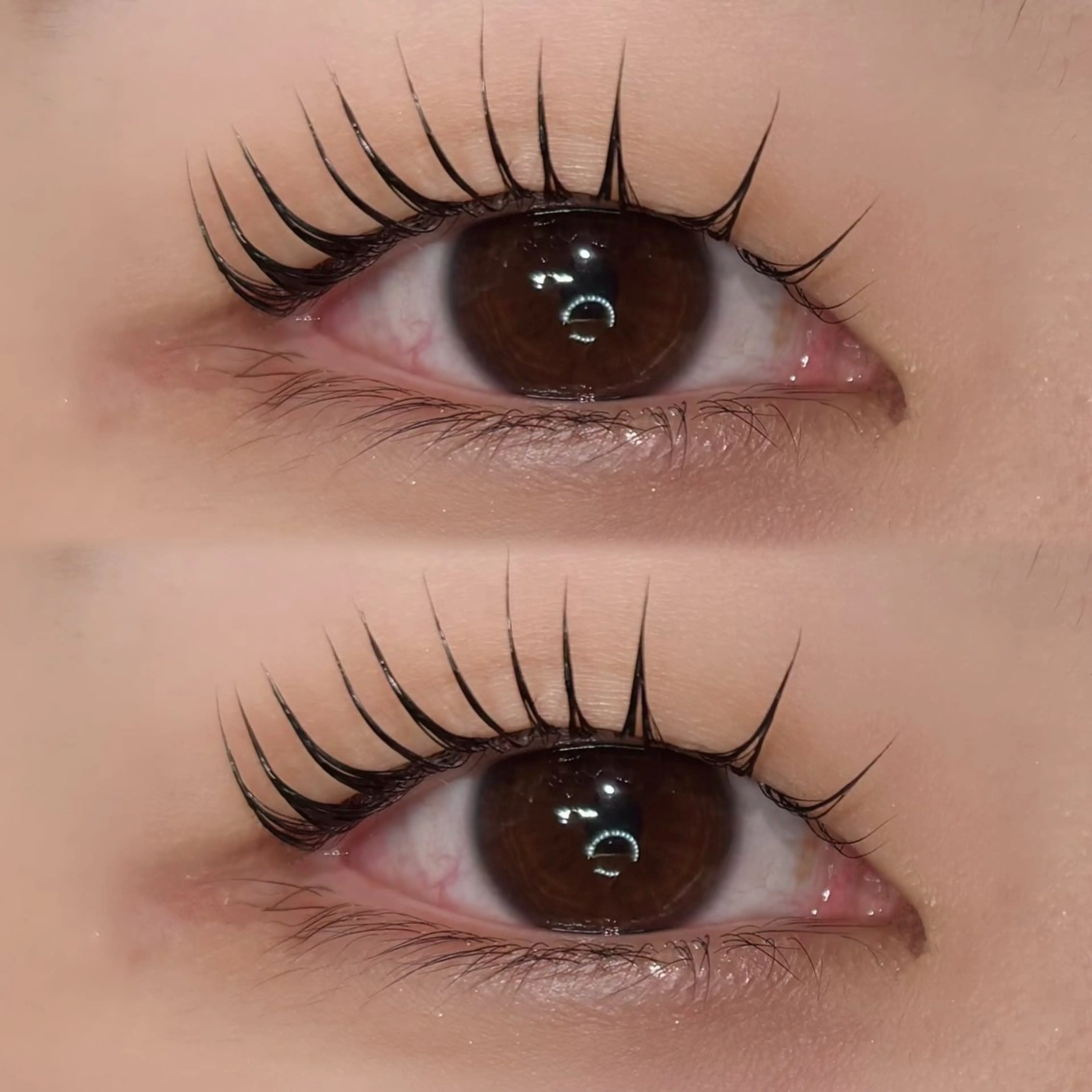 🇰🇷🩶本場韓国ロッド使用🖤韓国まつ毛パーマ《ブラックティント付き》の写真