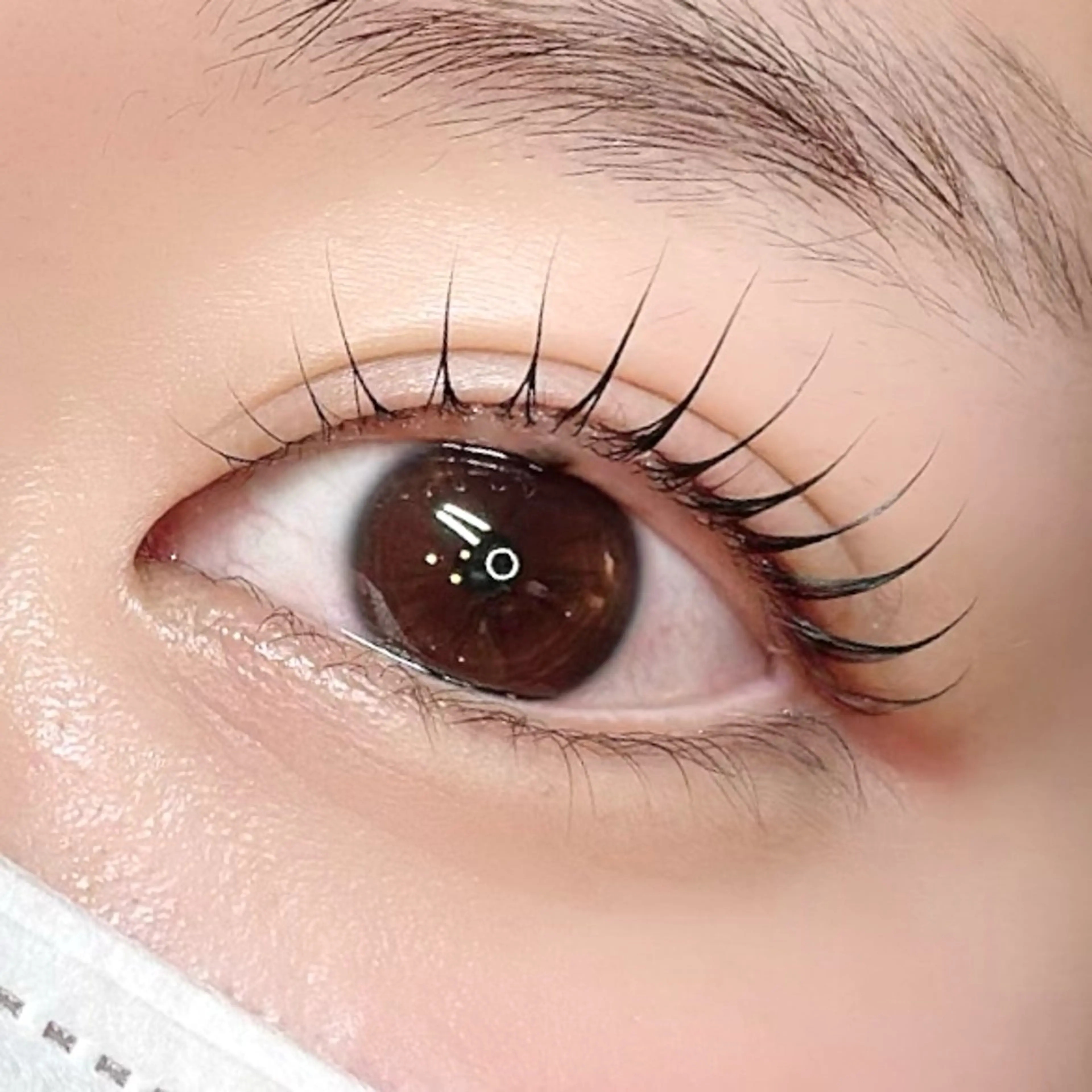 マツエク・マツパ ella eyelashのマツエク・マツパデザイン