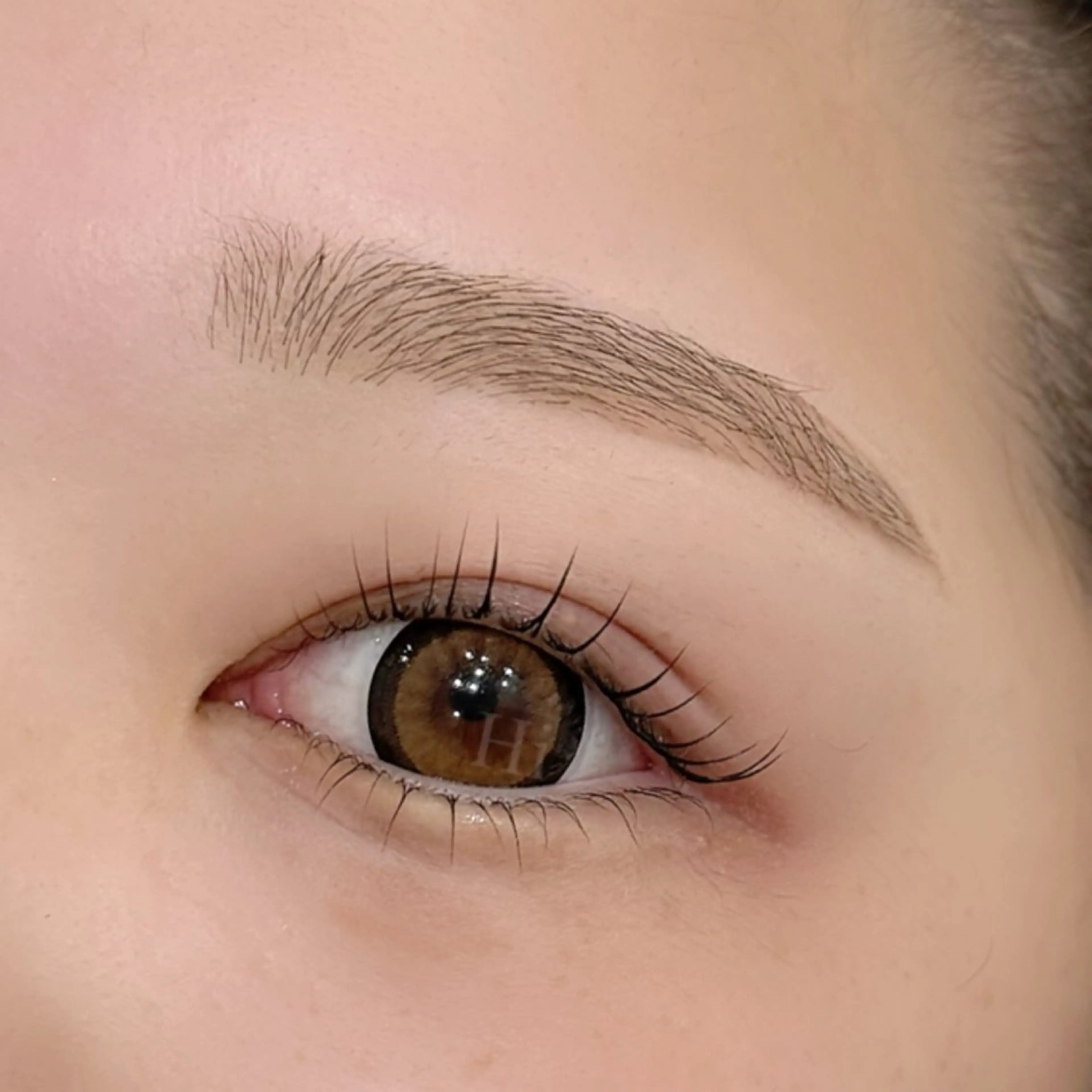 【4月限定‎💜】大人気黄金比アイブロウWAX×中顔面短縮❕上下まつ毛パーマ(𖠶ᴗ𖠶)🎀の写真