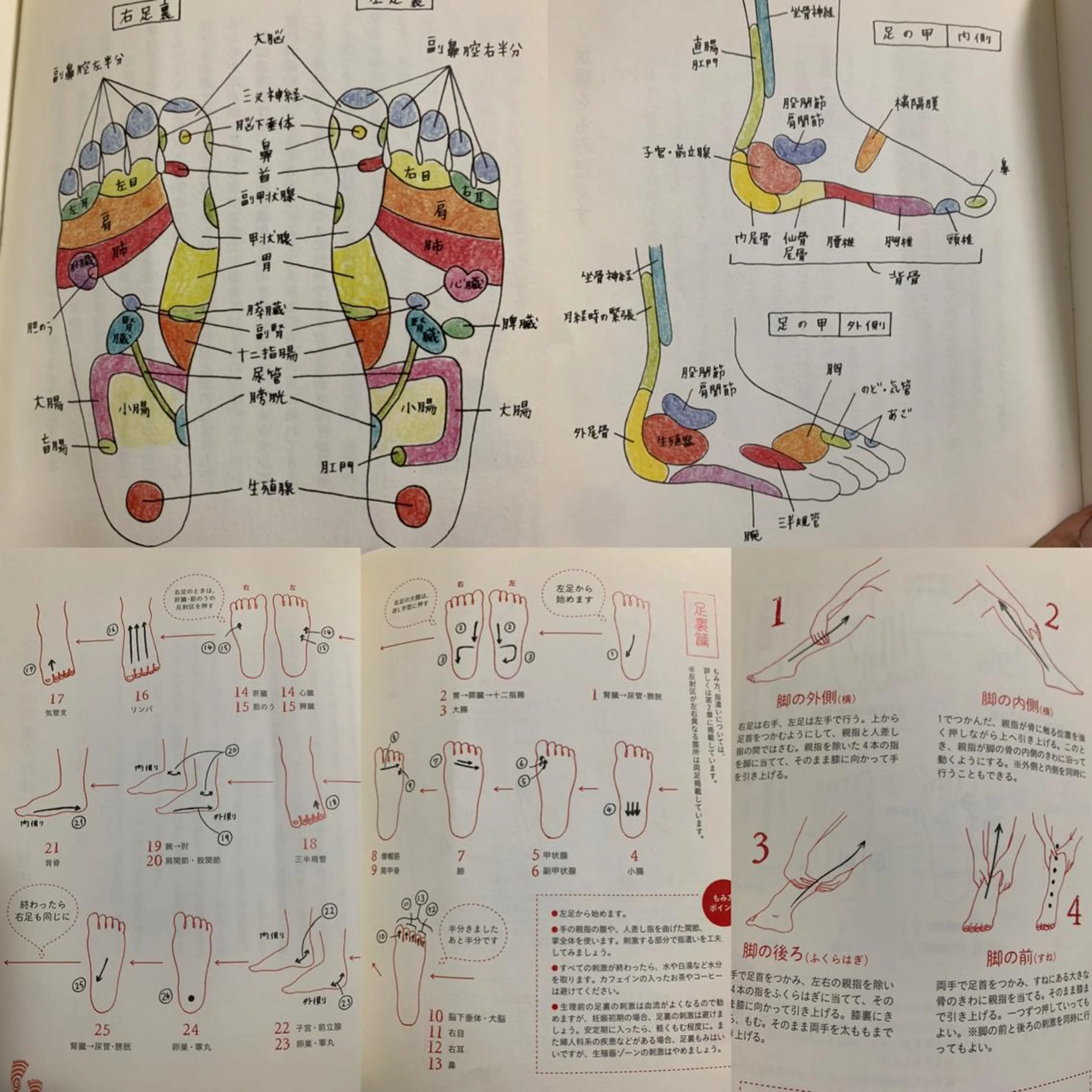 坂井 かよみのエステ・リラクイメージ