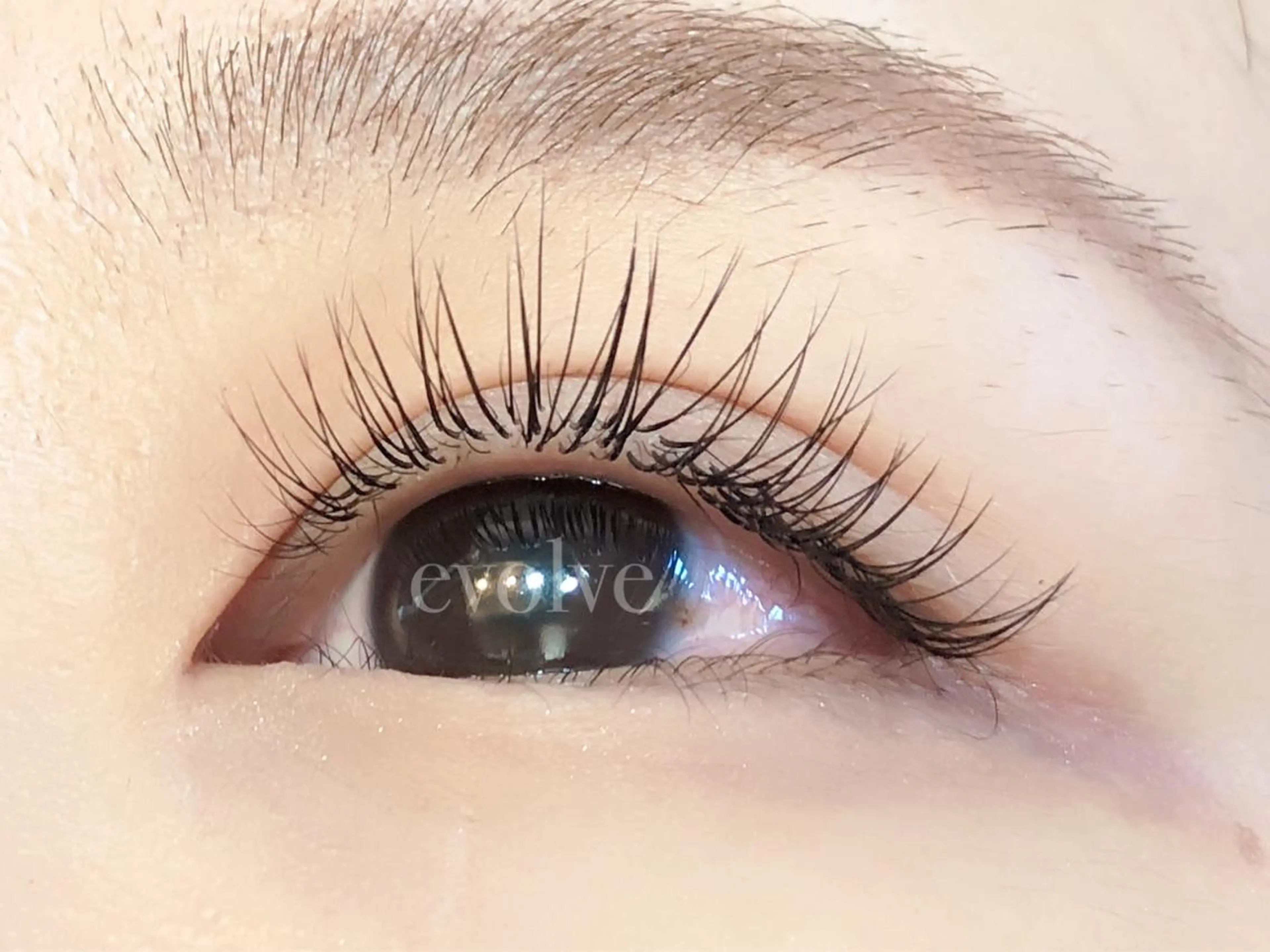 マツエク・マツパ Cカール evolve by TypeAB所属・evolve  by TypeABのマツエク・マツパデザイン