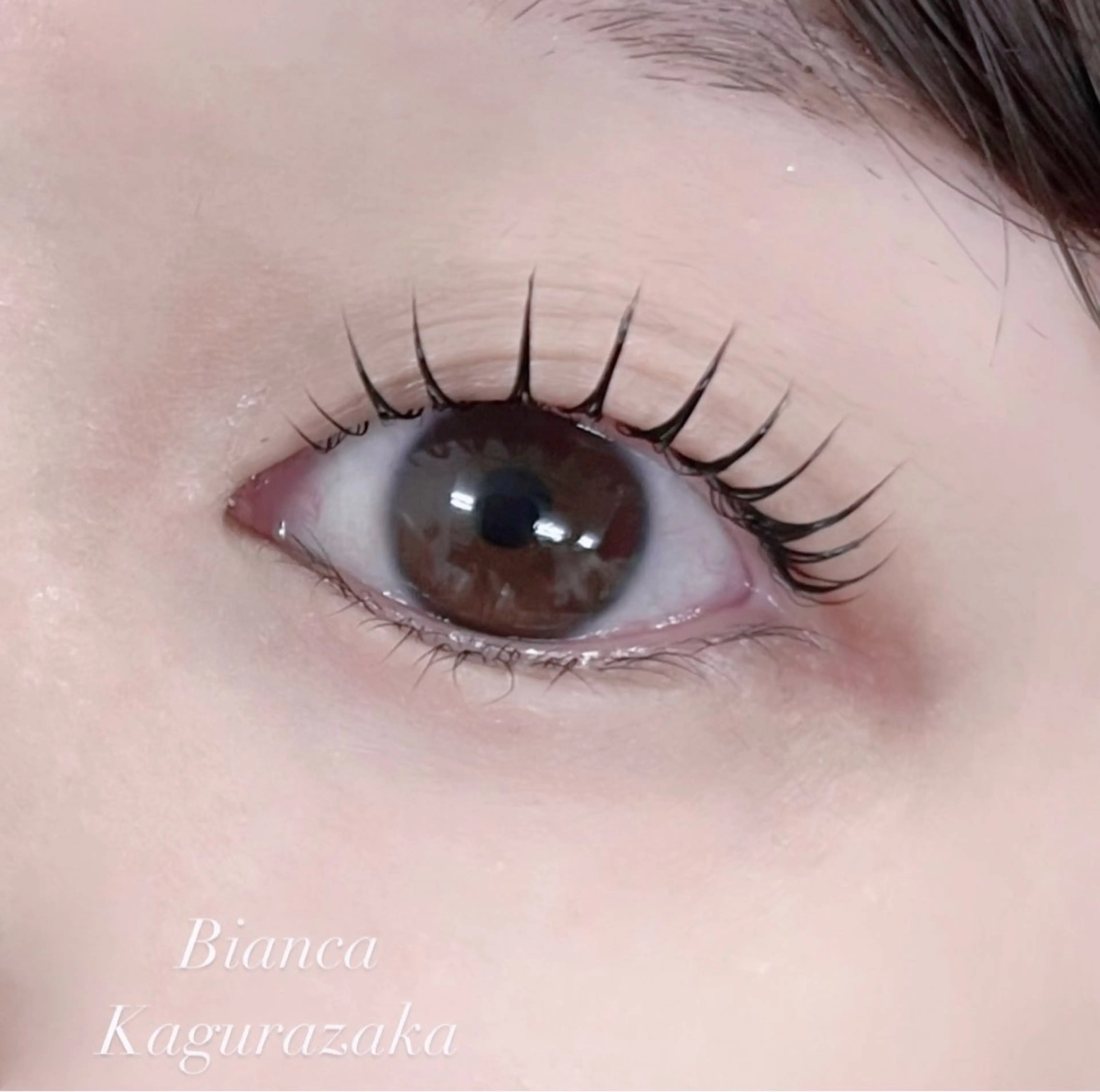 パーマ BIANCA神楽坂 🎀タカハシのマツエク・マツパデザイン