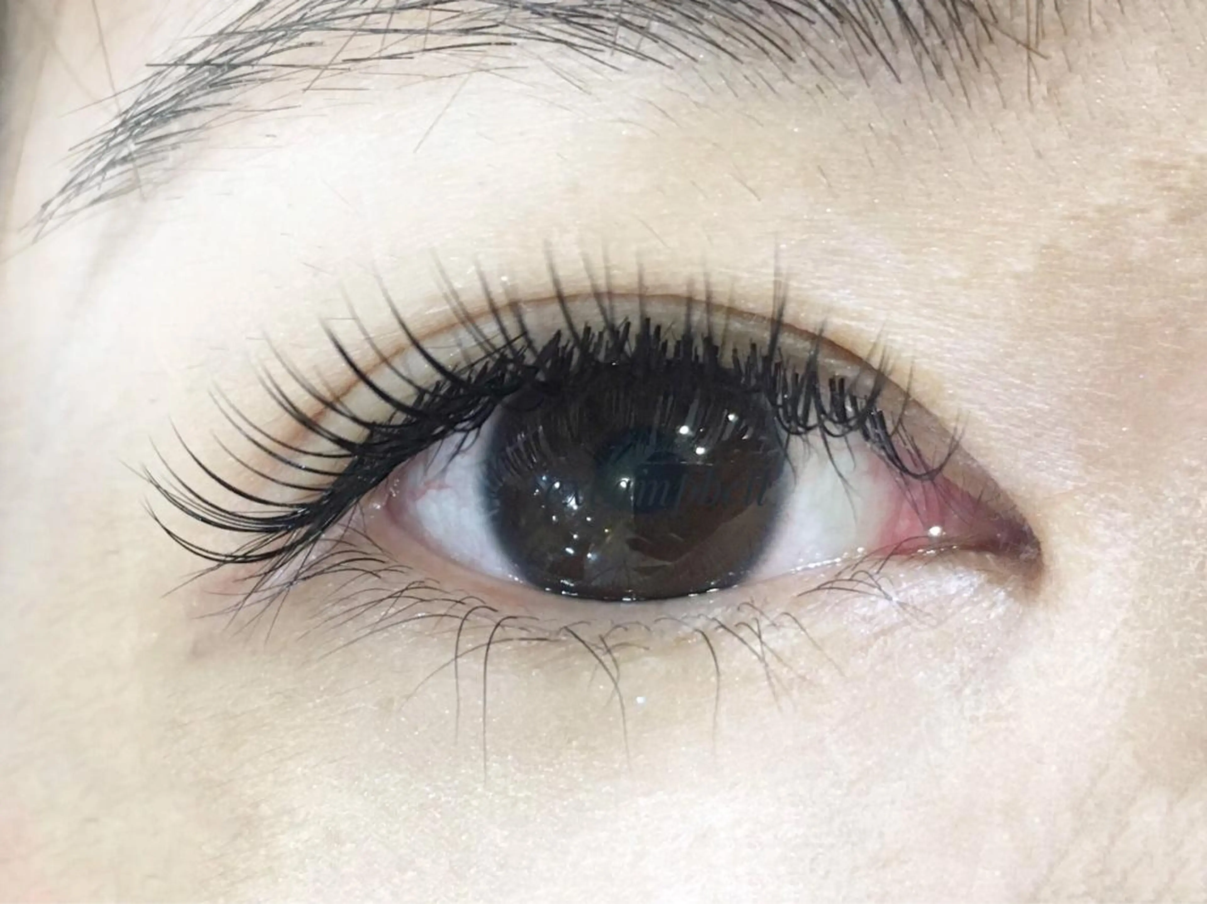 マツエク・マツパ エクスキャンベル 本店のマツエク・マツパデザイン