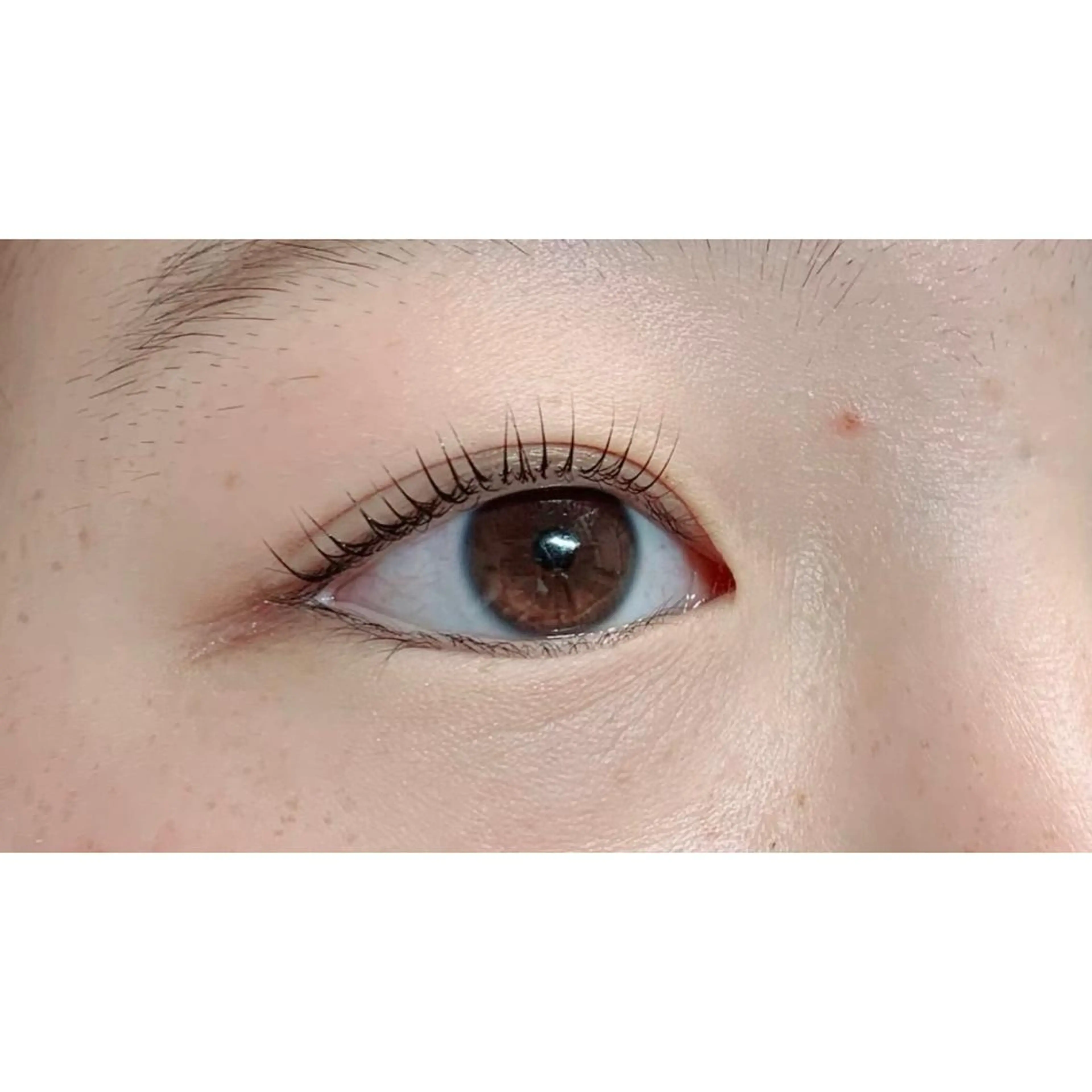 マツエク・マツパ Adorer(アドレ)所属・Adorer 🍀アドレ🍀のマツエク・マツパデザイン