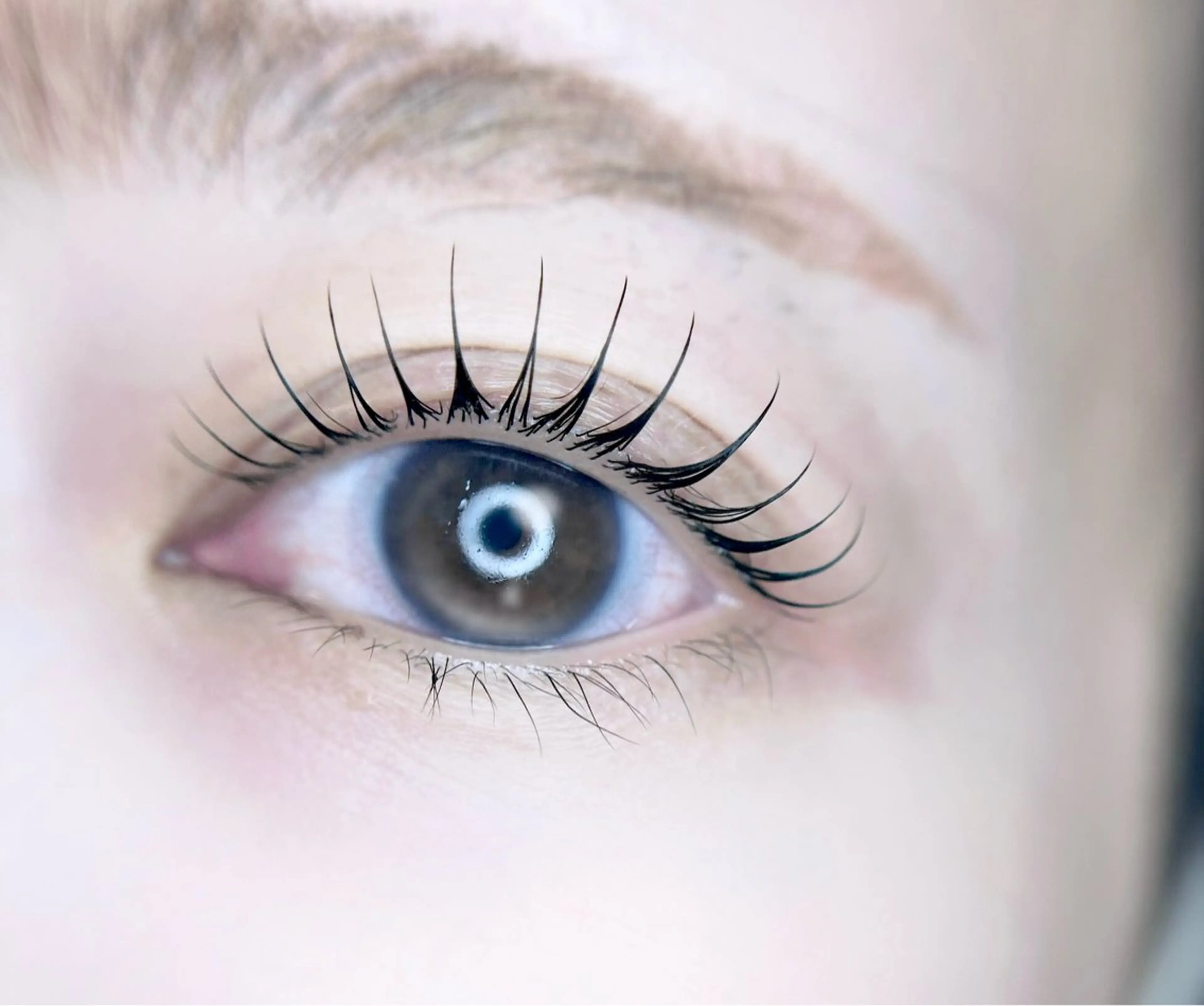 マツエク・マツパ マツパ 🎀eyelist. mizuki🐈‍⬛の眉毛・アイブロウイメージ