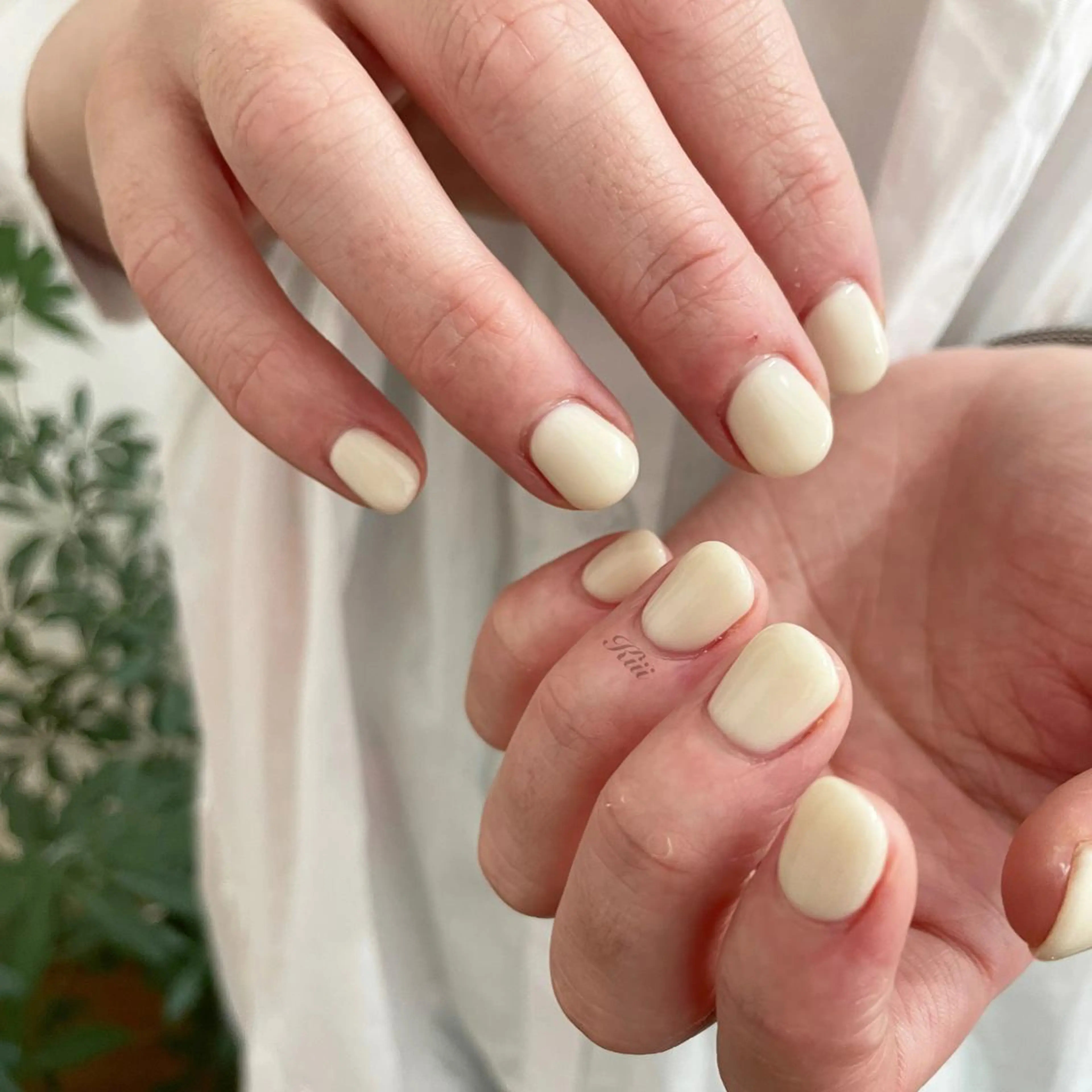 ネイル ホワイト ハンドネイル フットネイル kiii.__ ✴︎*のネイルデザイン