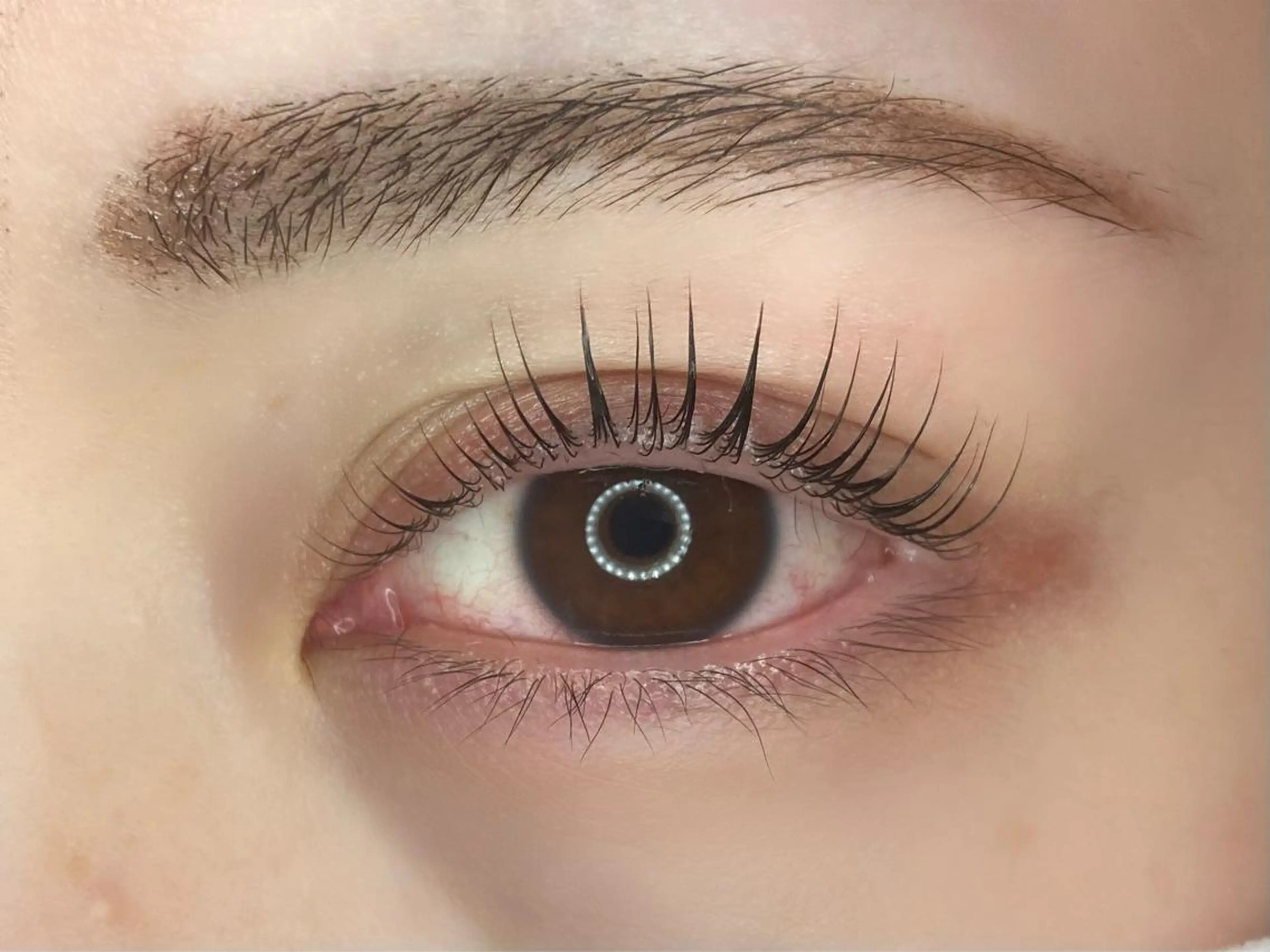 🏫【再来】学割🏫パリジェンヌラッシュリフト🏫の写真