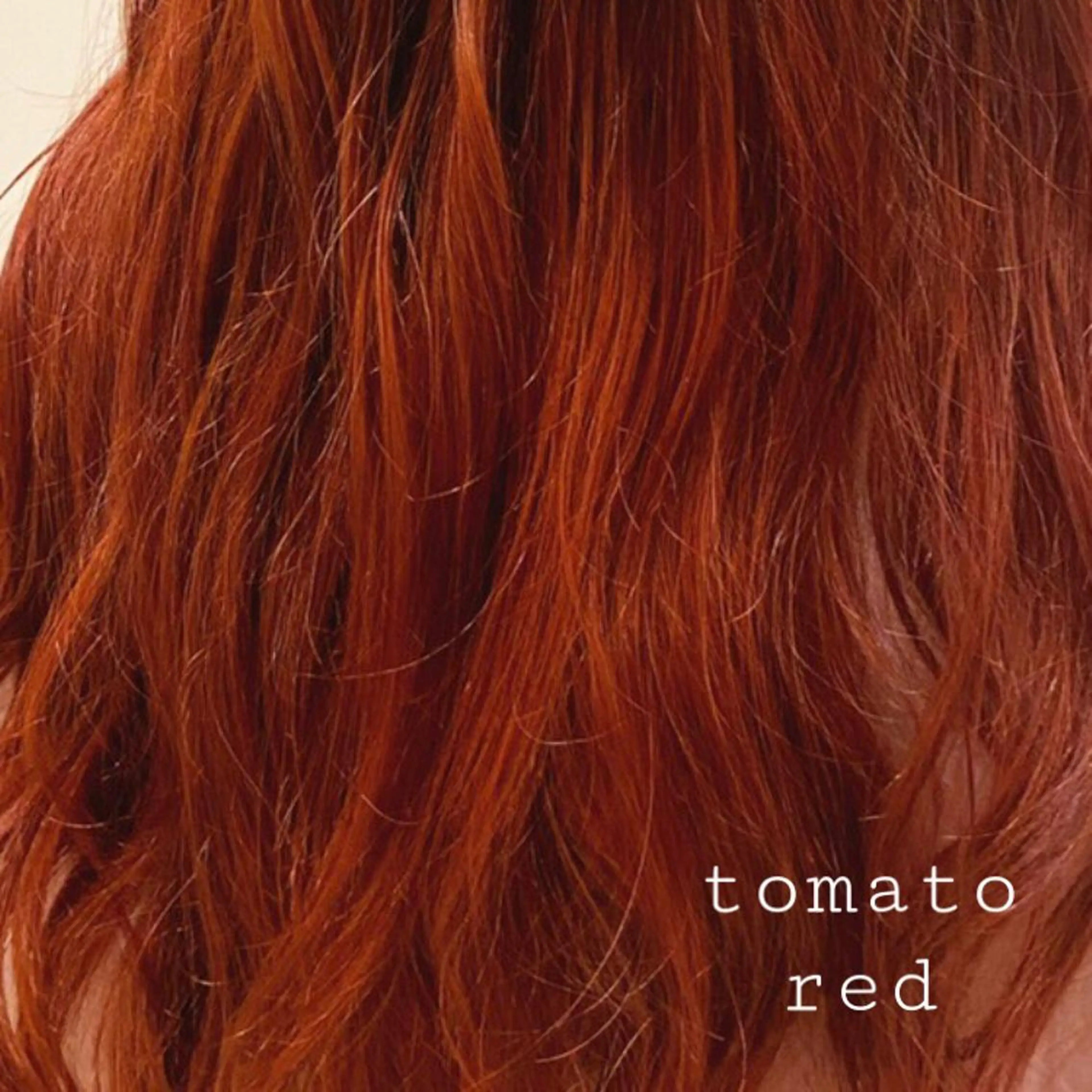 ロング カラー レッドカラー ヘアカラー トリートメント 似合わせカラー✨人気 荻窪🌈川端風子のヘアスタイル