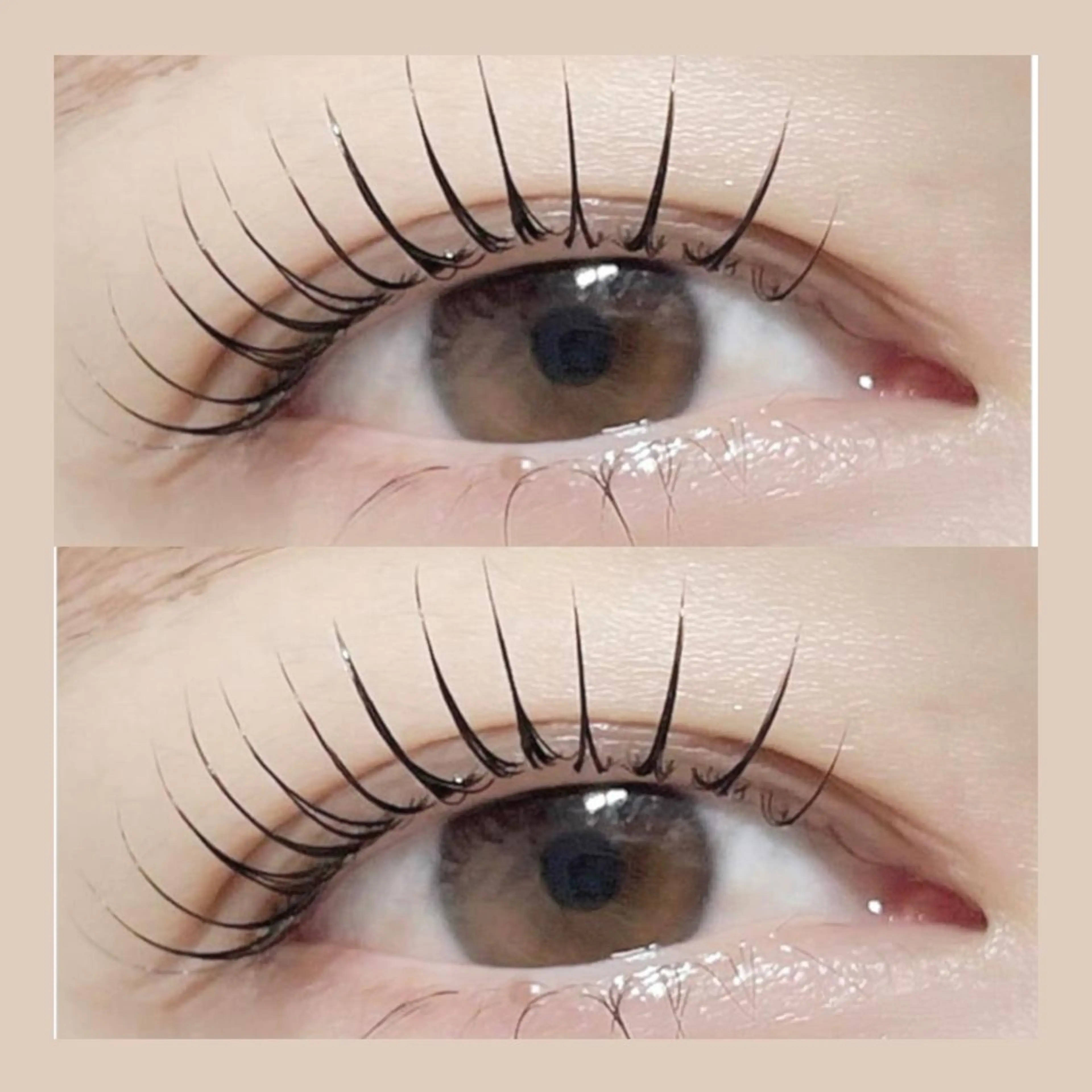 選べるパリジェンヌorまつげパーマ上のみ◞❤︎の写真