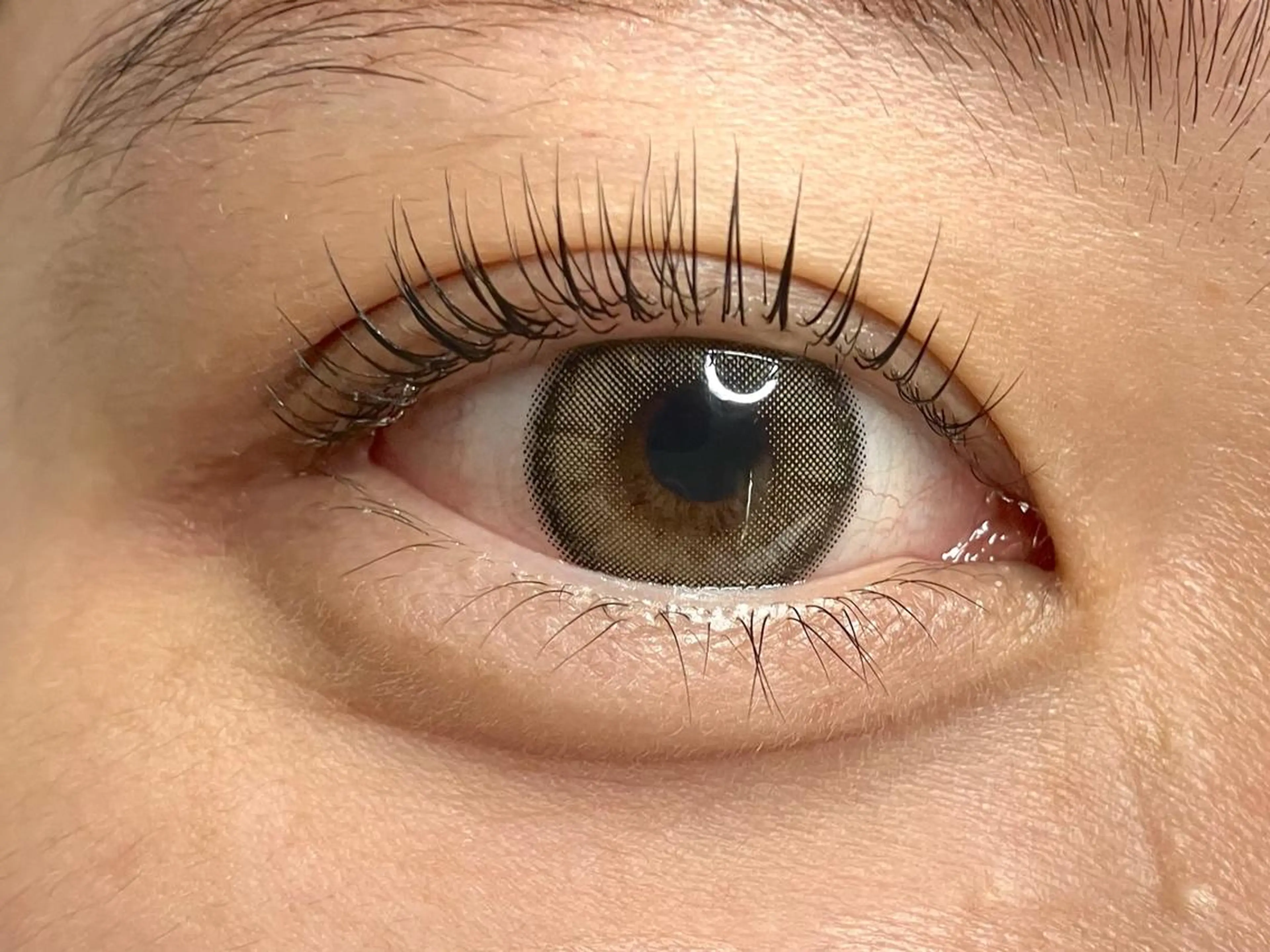 【新規オプション付】上まつ毛パーマ¥6050→¥4400の写真