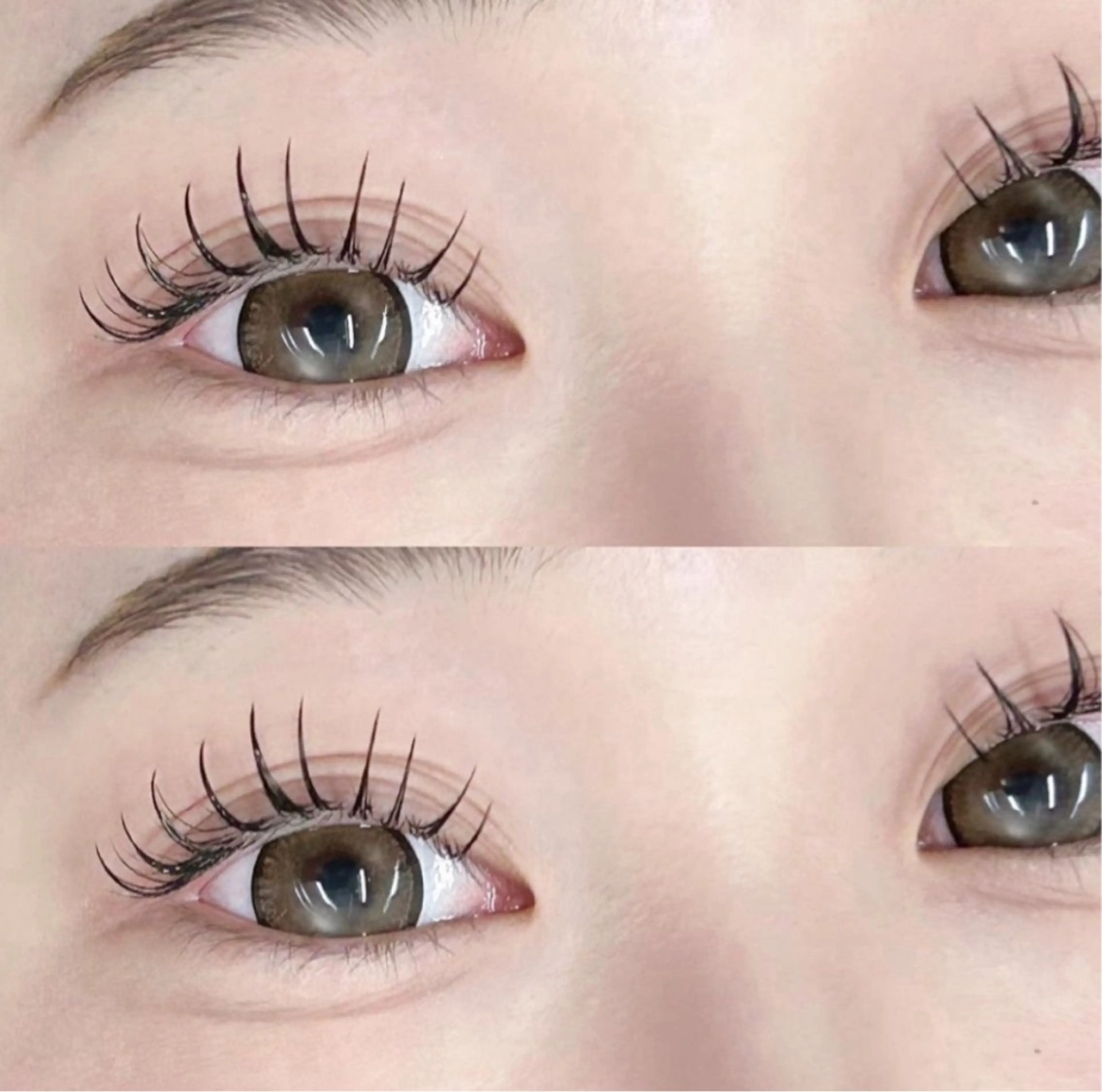 📣｛1日2名限定🥕｝オフあり🐰マツエク120本💚🤍ぱっちり韓ドル束感まつ毛に🪐初回オフ代無料の写真