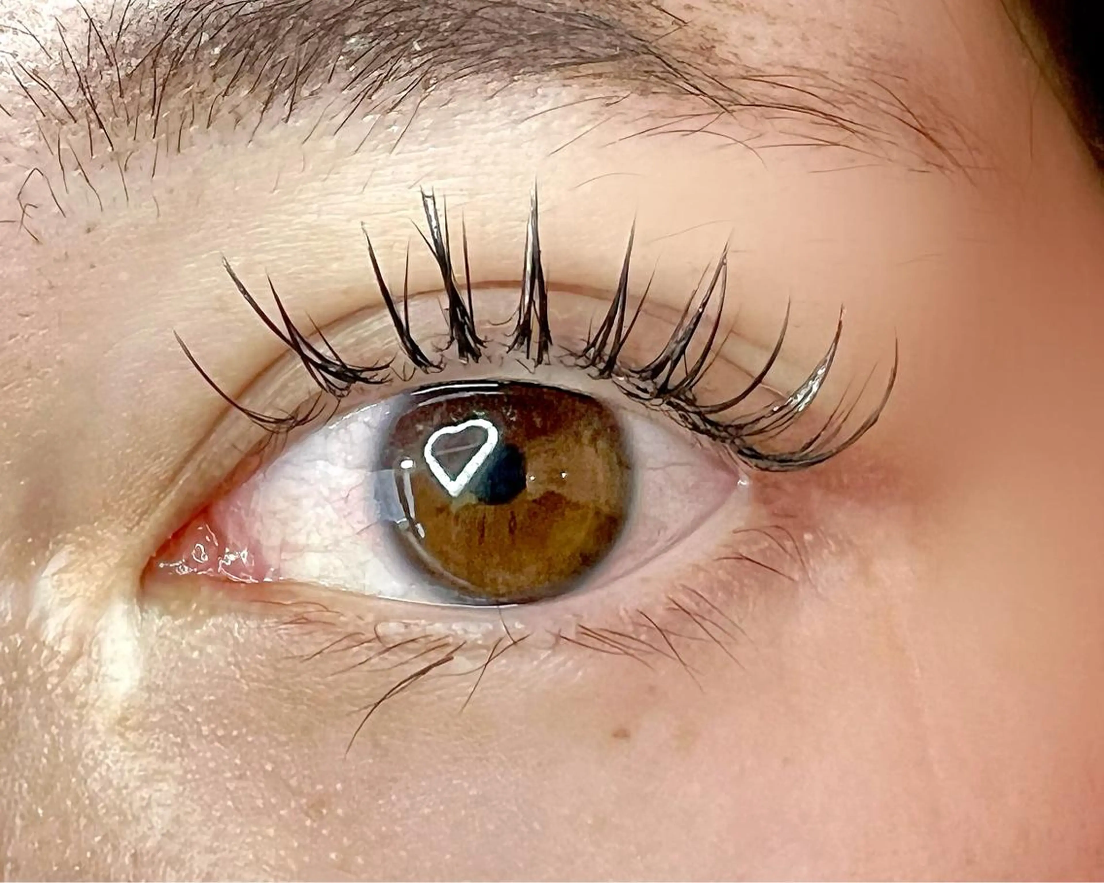 マツエク・マツパ Celeste Venus所属・🧸Celeste Venusのマツエク・マツパデザイン