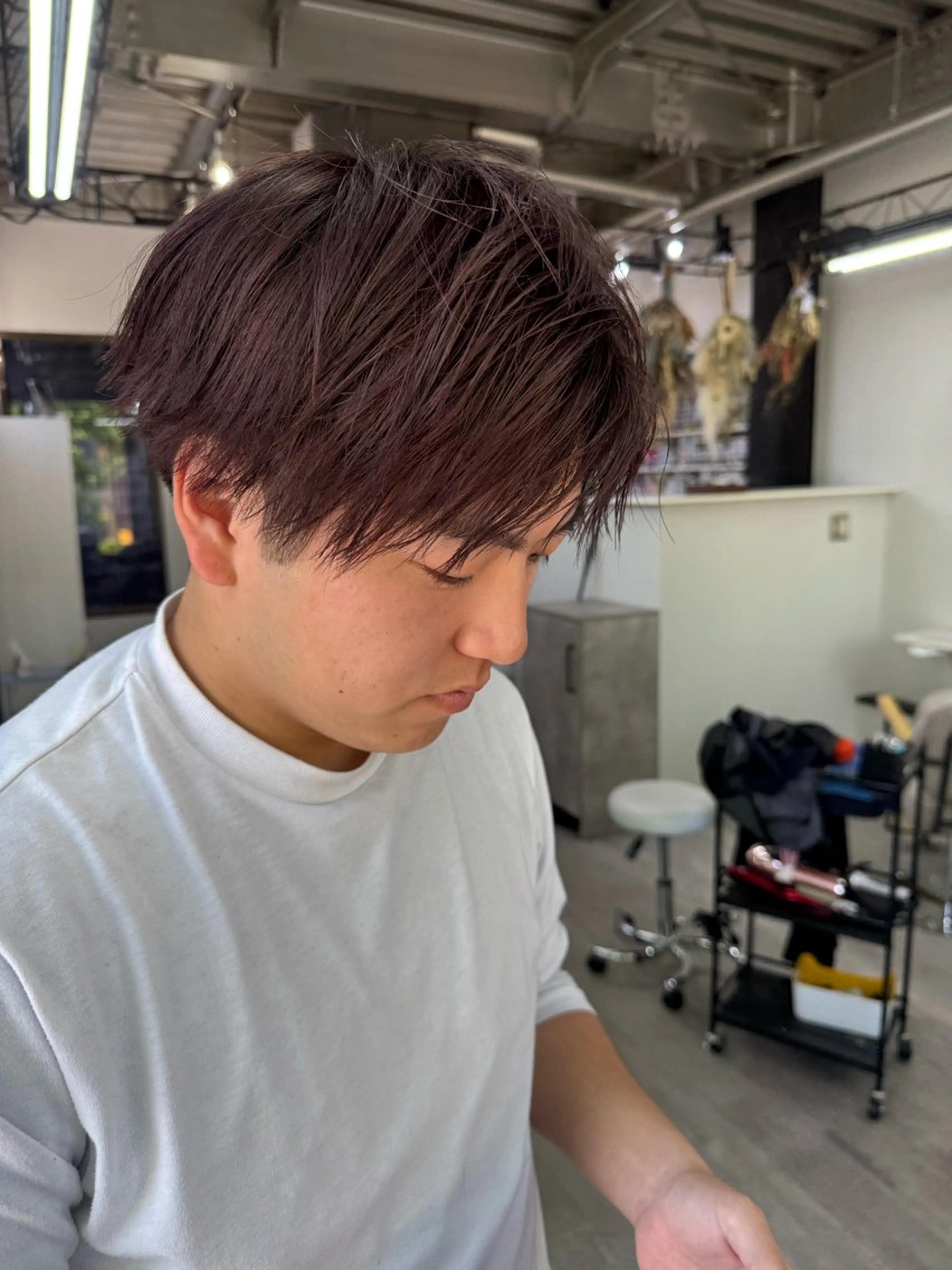 ショート カラー ベージュカラー カシス カシスベージュ カット ヘアカラー トリートメント 坂井 水菜美のヘアスタイル