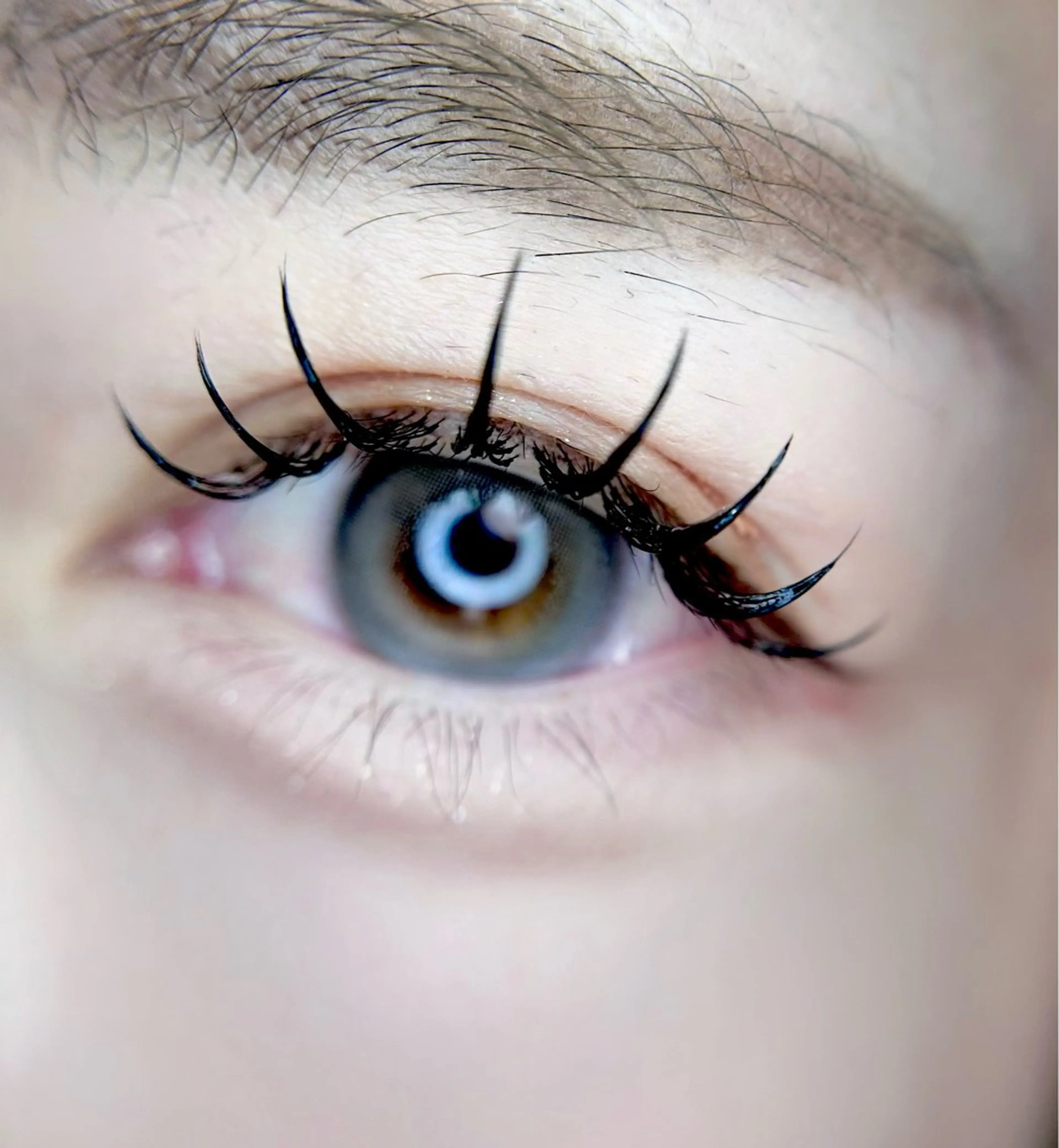 マツエク・マツパ マツエク 🎀eyelist. mizuki🐈‍⬛の眉毛・アイブロウイメージ